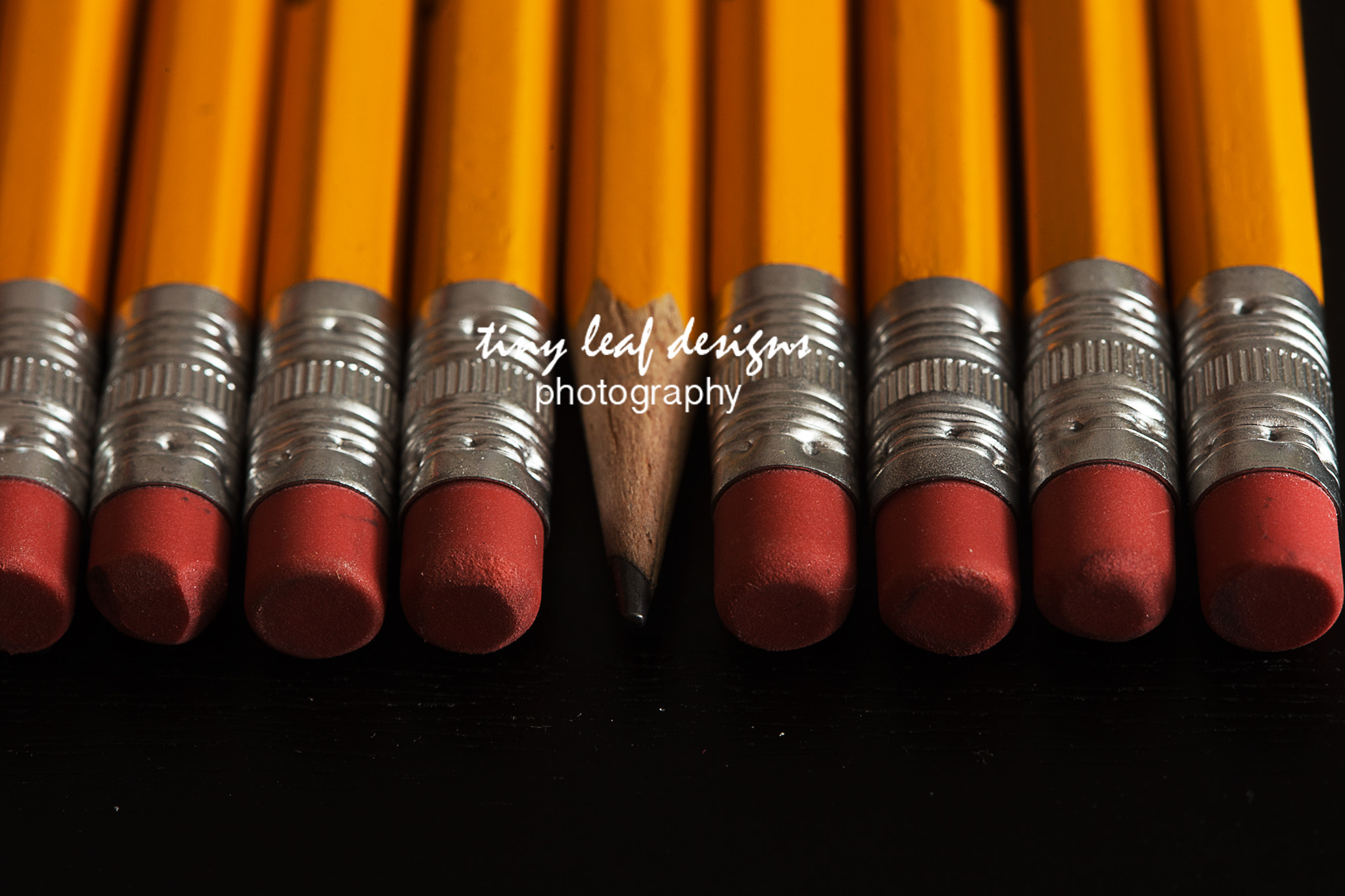 Canon EOS 6D + Canon EF 100mm F2.8 Macro USM sample photo. Patterns photography