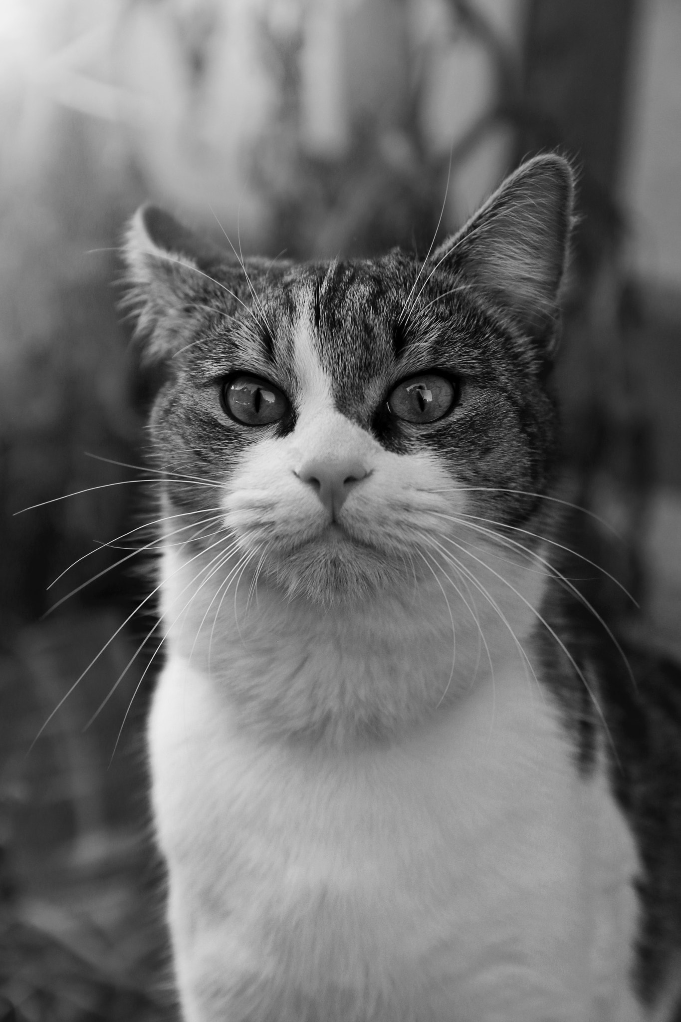 Canon EOS 70D + Canon EF 28mm F2.8 sample photo. Don't look at me ! photography
