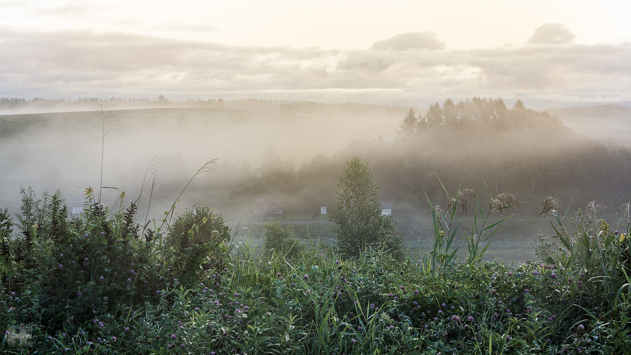 Sony Alpha NEX-7 + Sigma 30mm F2.8 EX DN sample photo. Fog photography