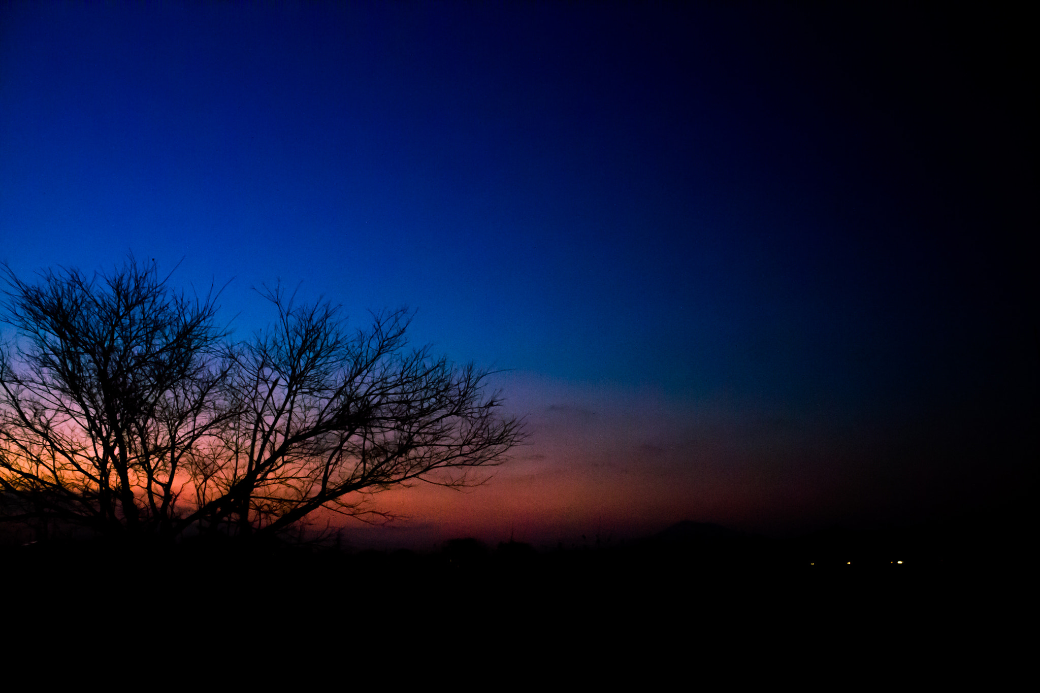 Canon EOS 1100D (EOS Rebel T3 / EOS Kiss X50) sample photo. My wish. photography