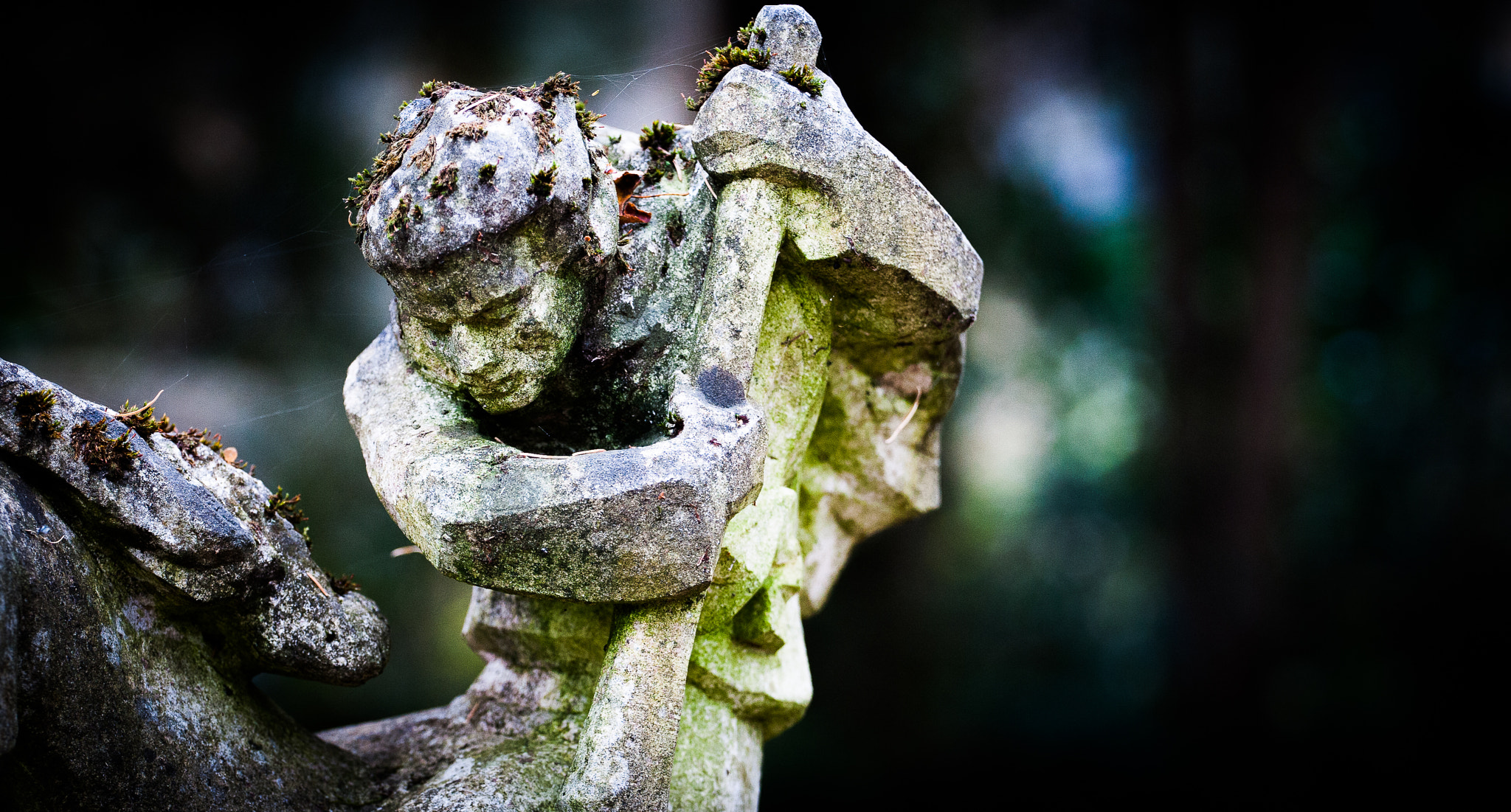 Canon EOS-1Ds Mark II sample photo. Fighting the dragon, part ii photography