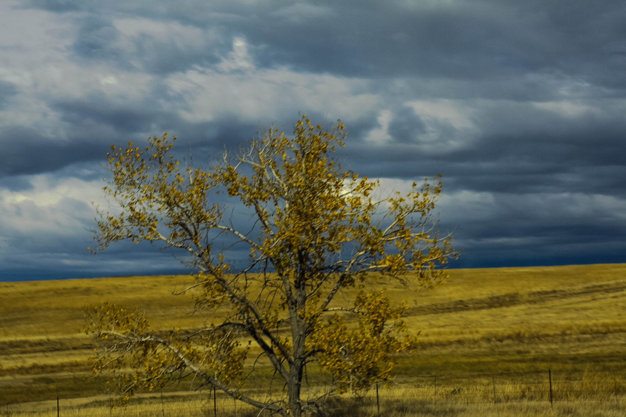 Canon EF 28-80mm f/2.8-4L sample photo. Country landscape photography
