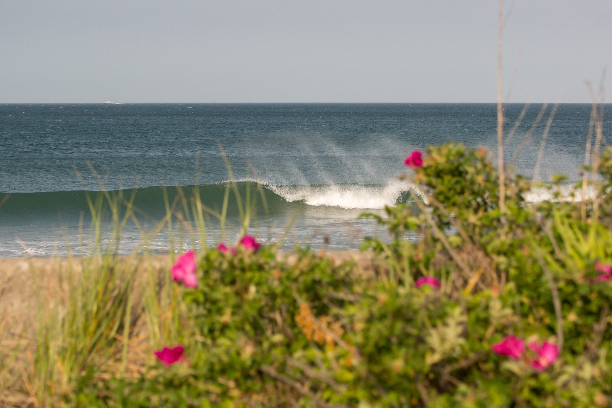 Tamron SP 70-300mm F4-5.6 Di USD sample photo. Nantasket beach ma photography