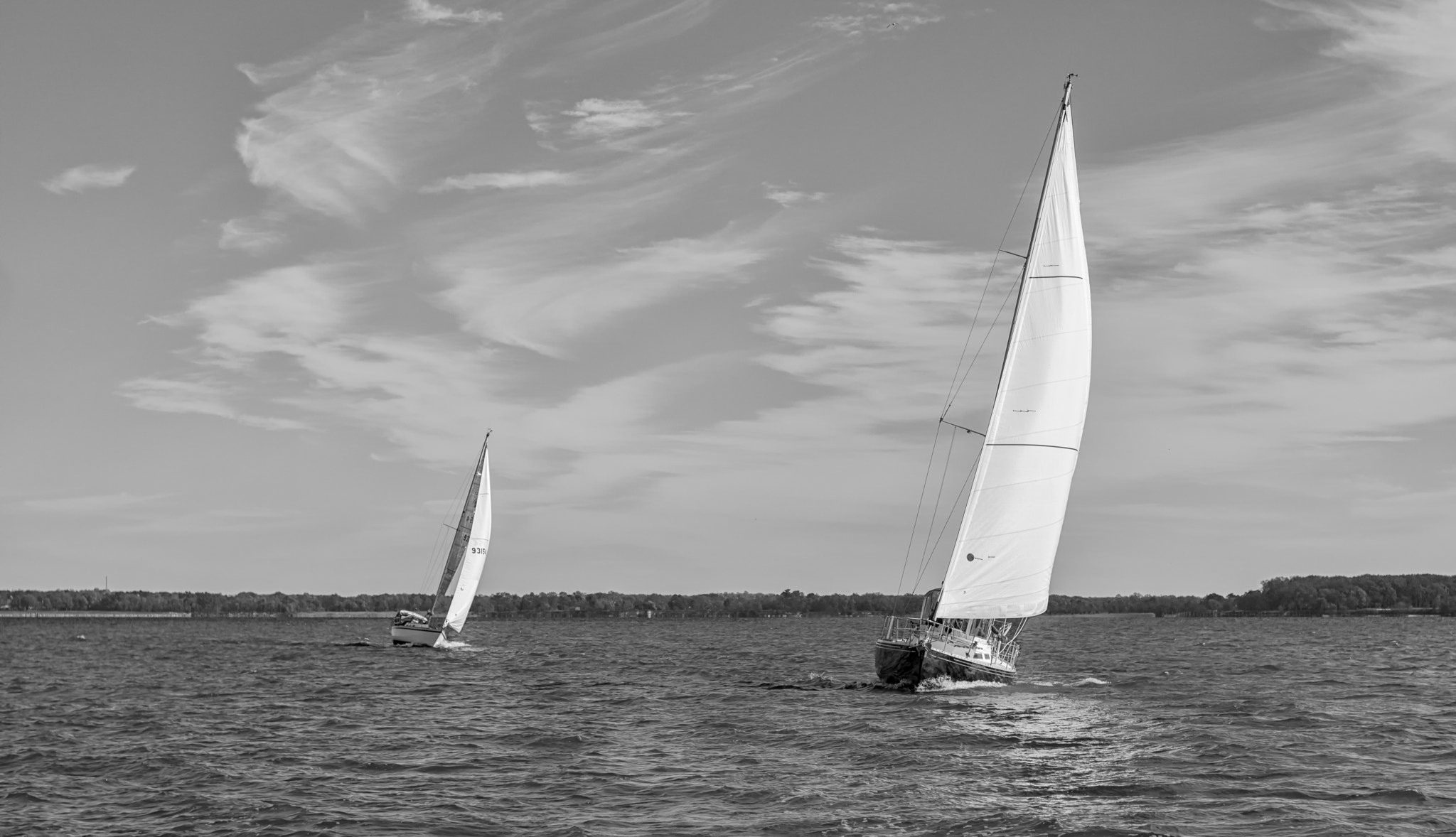 Sony SLT-A65 (SLT-A65V) + Minolta AF 50mm F1.7 sample photo. Chesapeake bay md photography