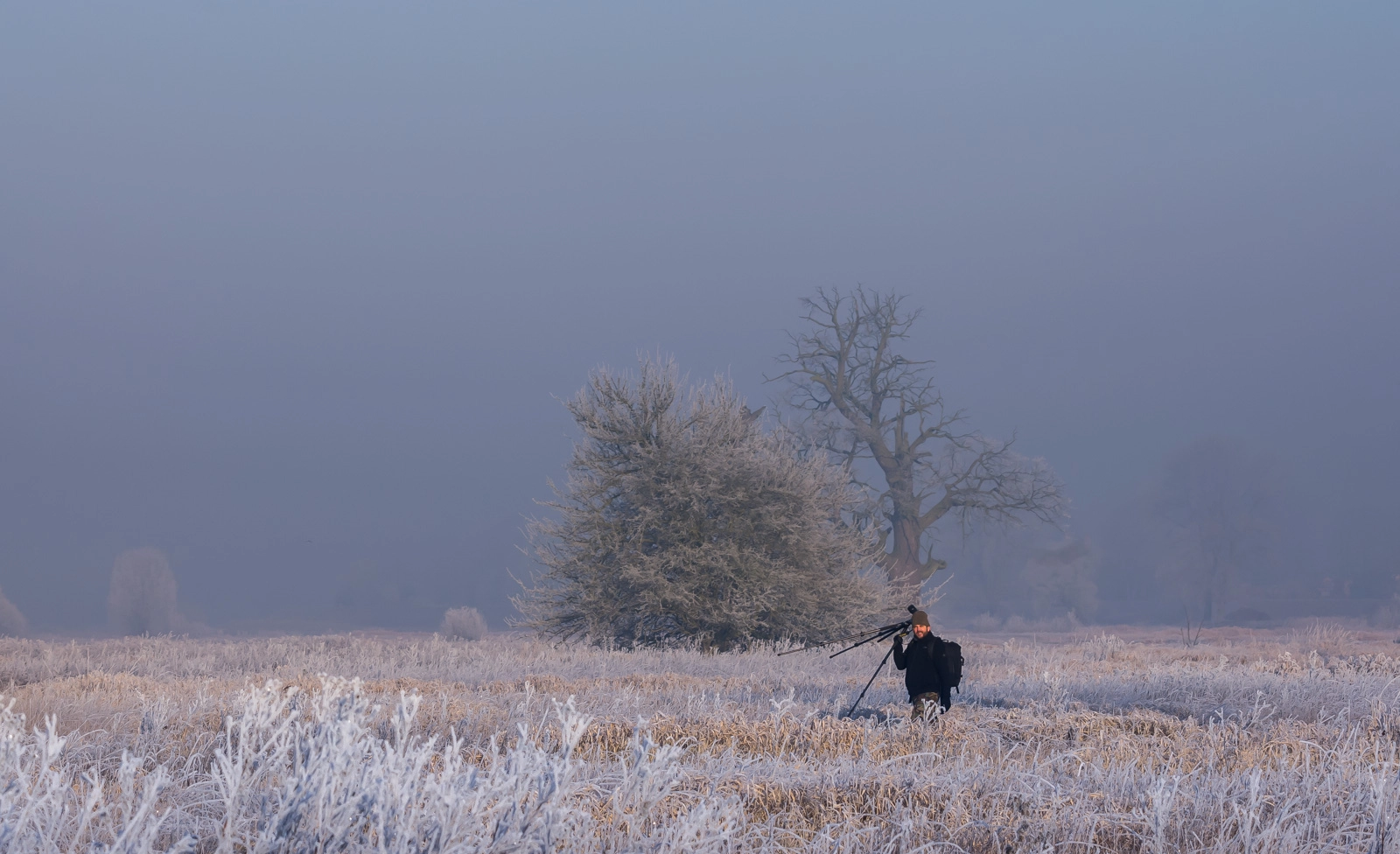 Pentax K-r + Sigma sample photo. Frosty mornings photography