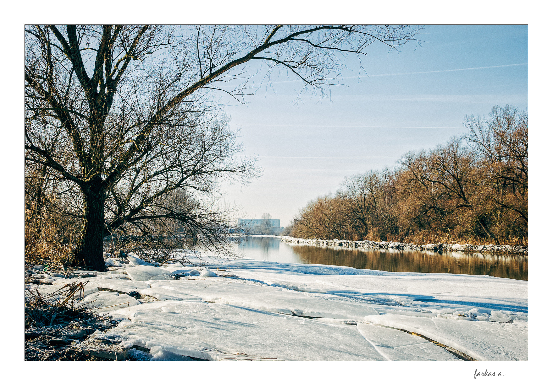 Nikon D60 sample photo. Winter sun... photography