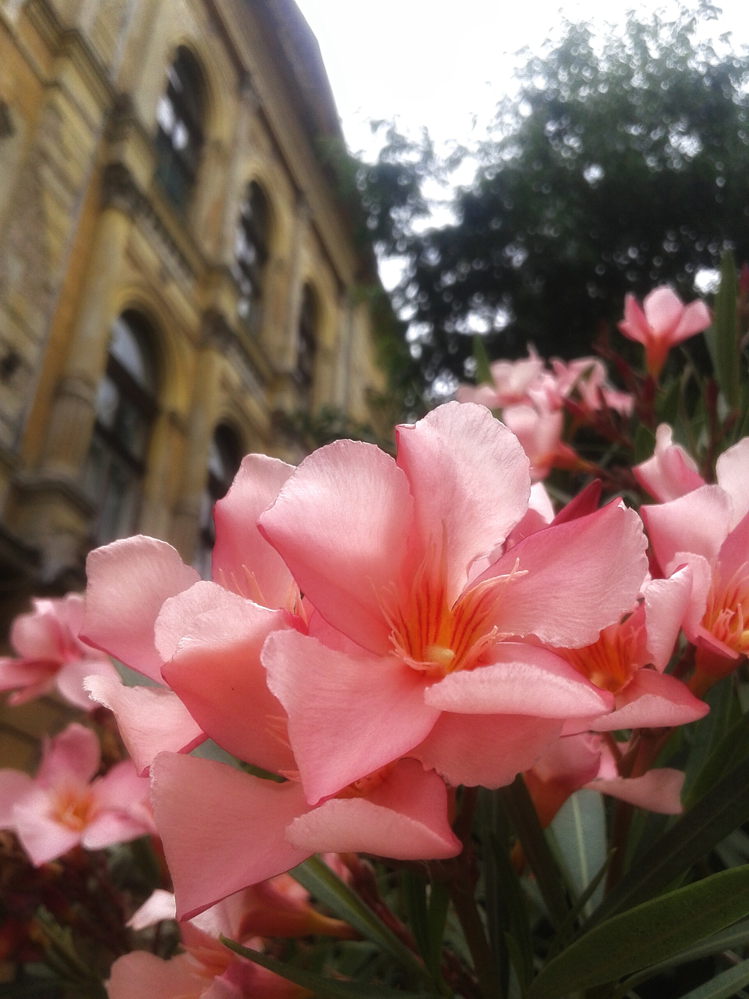 Samsung Galaxy Core2 sample photo. Még tavaj készült photography