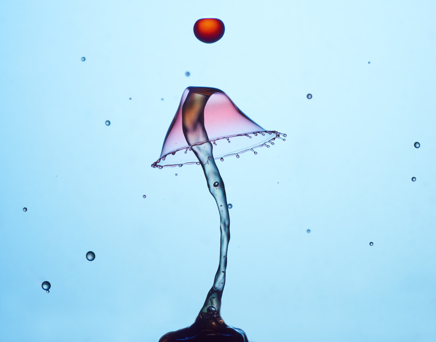90mm F2.8 sample photo. Collide 50 photography