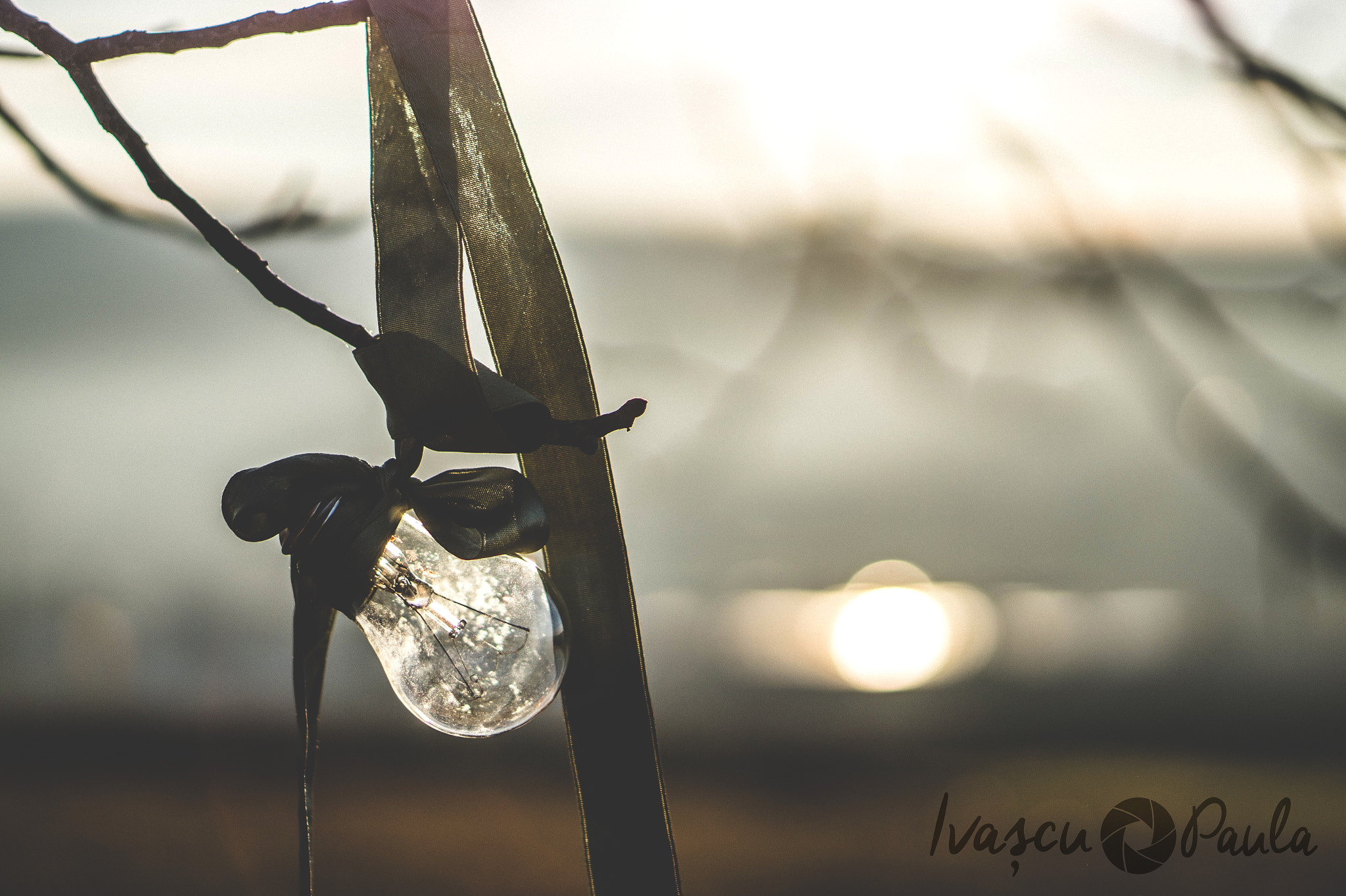 Sony Alpha a3000 sample photo. Just light photography