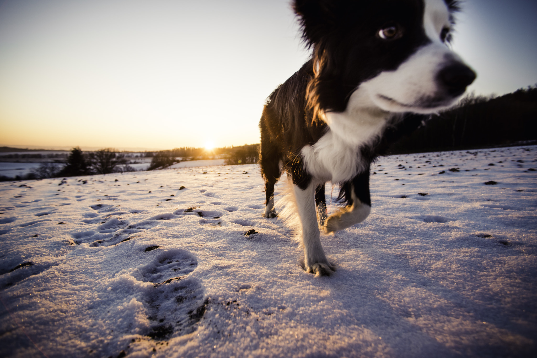 Nikon D750 + AF Nikkor 28mm f/2.8 sample photo. Photobomb! photography