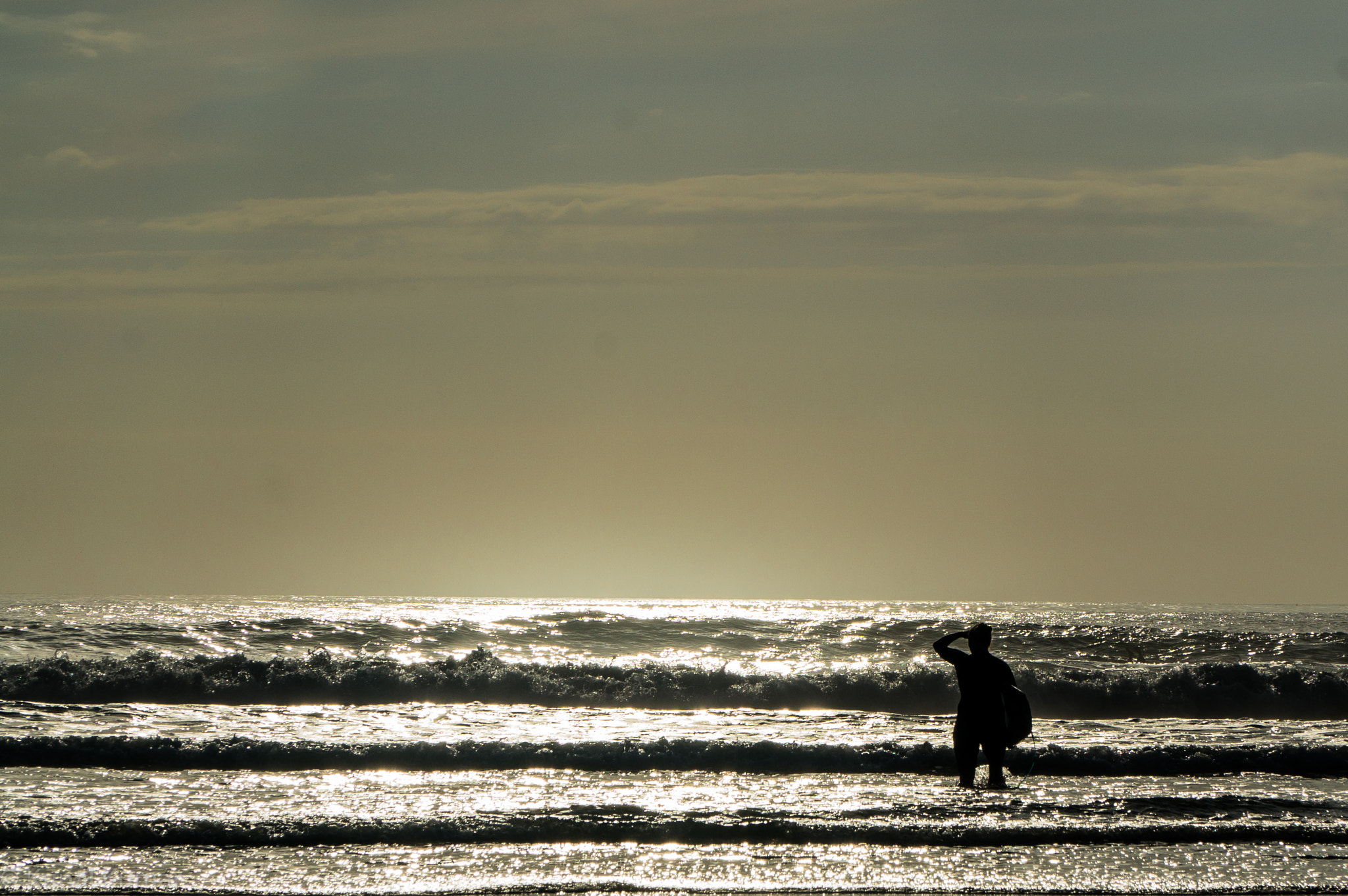 Sony Alpha NEX-5R + Sony E PZ 18-105mm F4 G OSS sample photo. The surfer photography