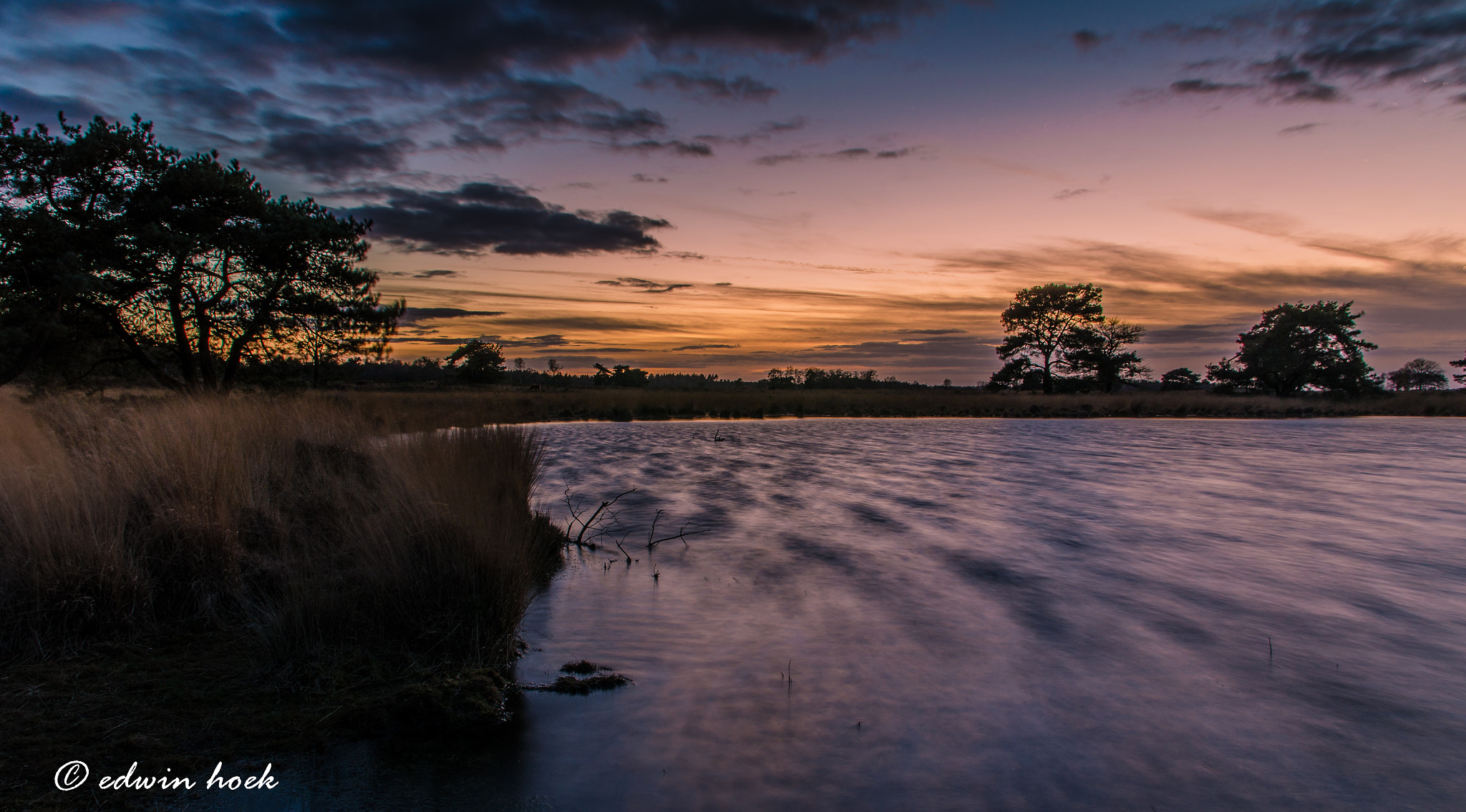 Sigma 17-70mm F2.8-4 DC Macro OS HSM | C sample photo. Edwin photography