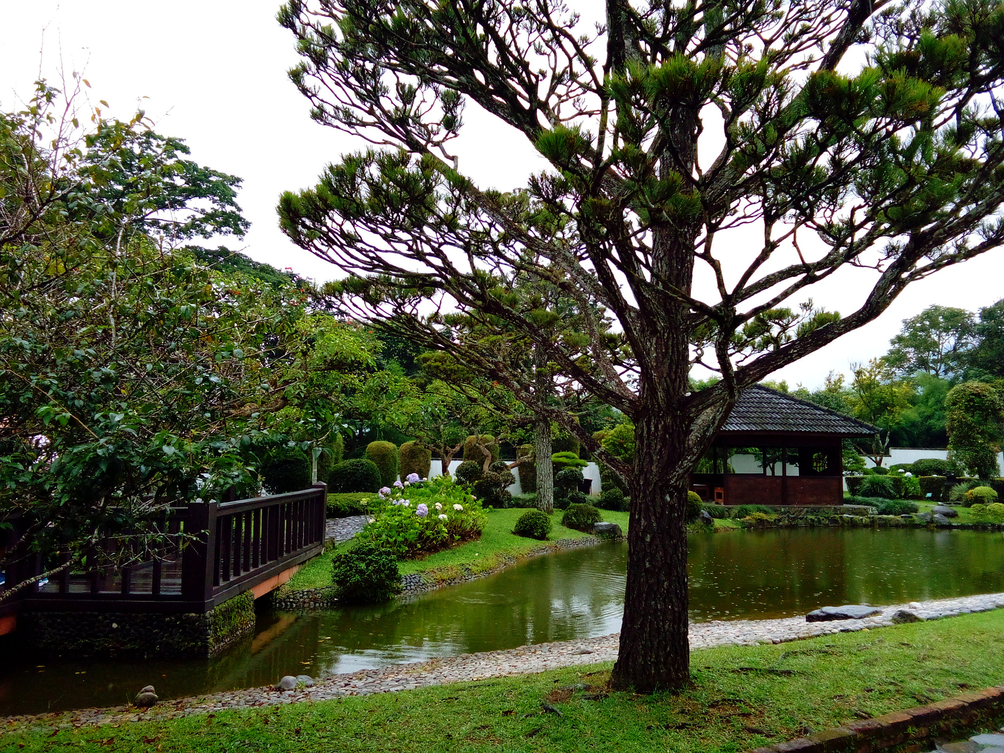 vivo Y28 sample photo. Taman bunga nusantara photography