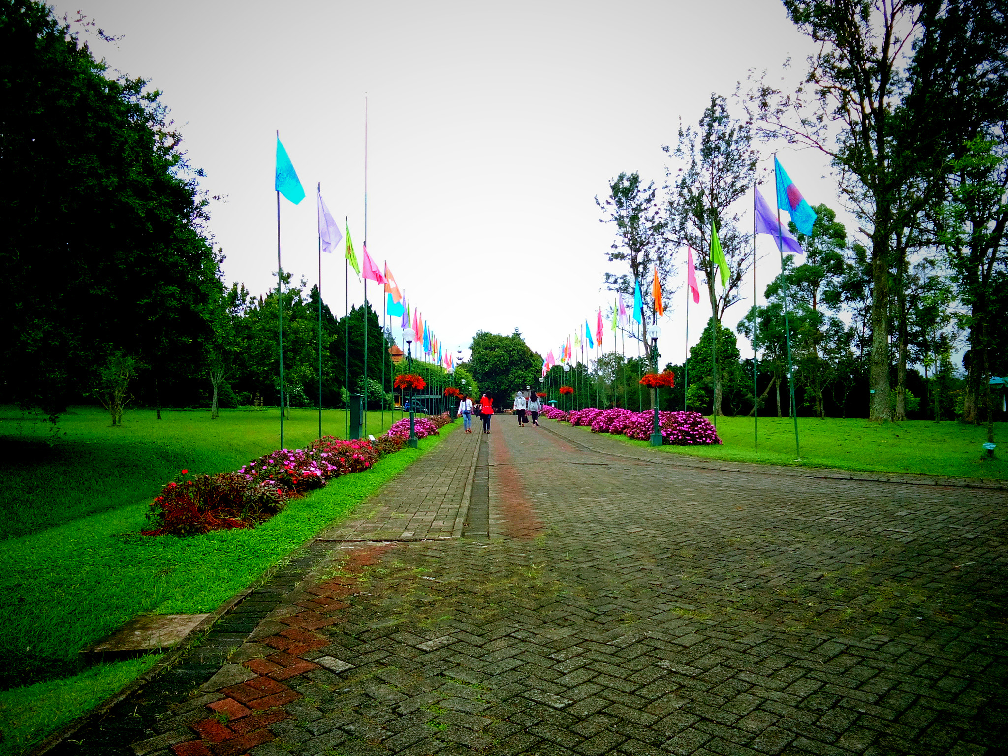 vivo Y28 sample photo. Taman bunga nusantara photography