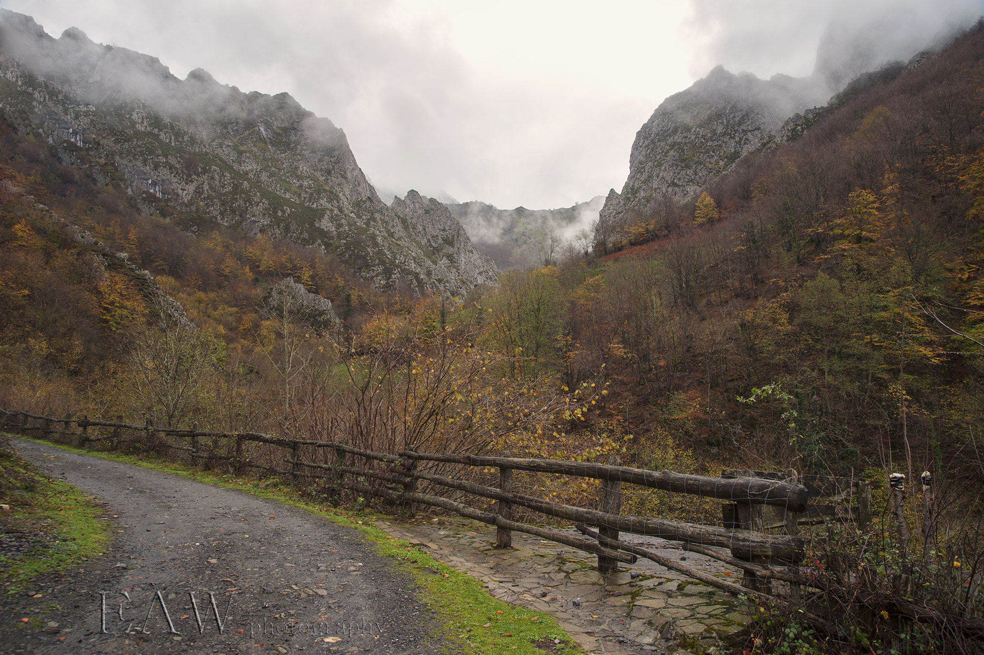 Nikon D700 + Sigma 24-60mm F2.8 EX DG sample photo. Misty path photography