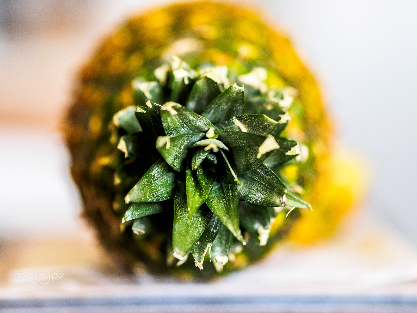 Olympus OM-D E-M10 + Olympus M.Zuiko Digital ED 75mm F1.8 sample photo. Pineapple crown photography