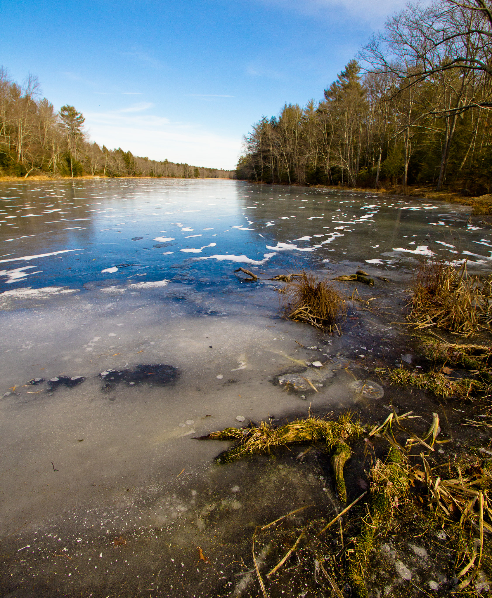 Sigma 10-20mm F3.5 EX DC HSM sample photo. Ice covers birchwood pond photography