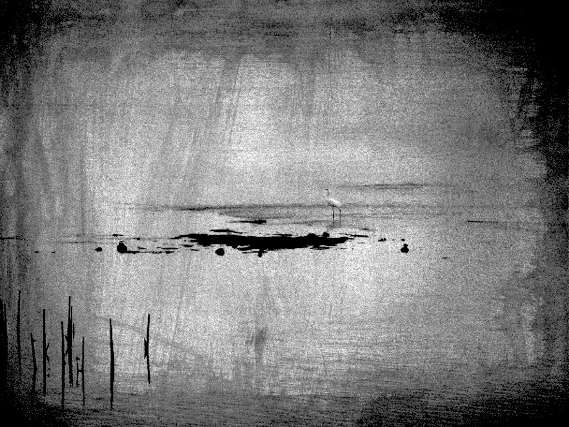 Panasonic Lumix DMC-GH4 sample photo. Lonely heron photography