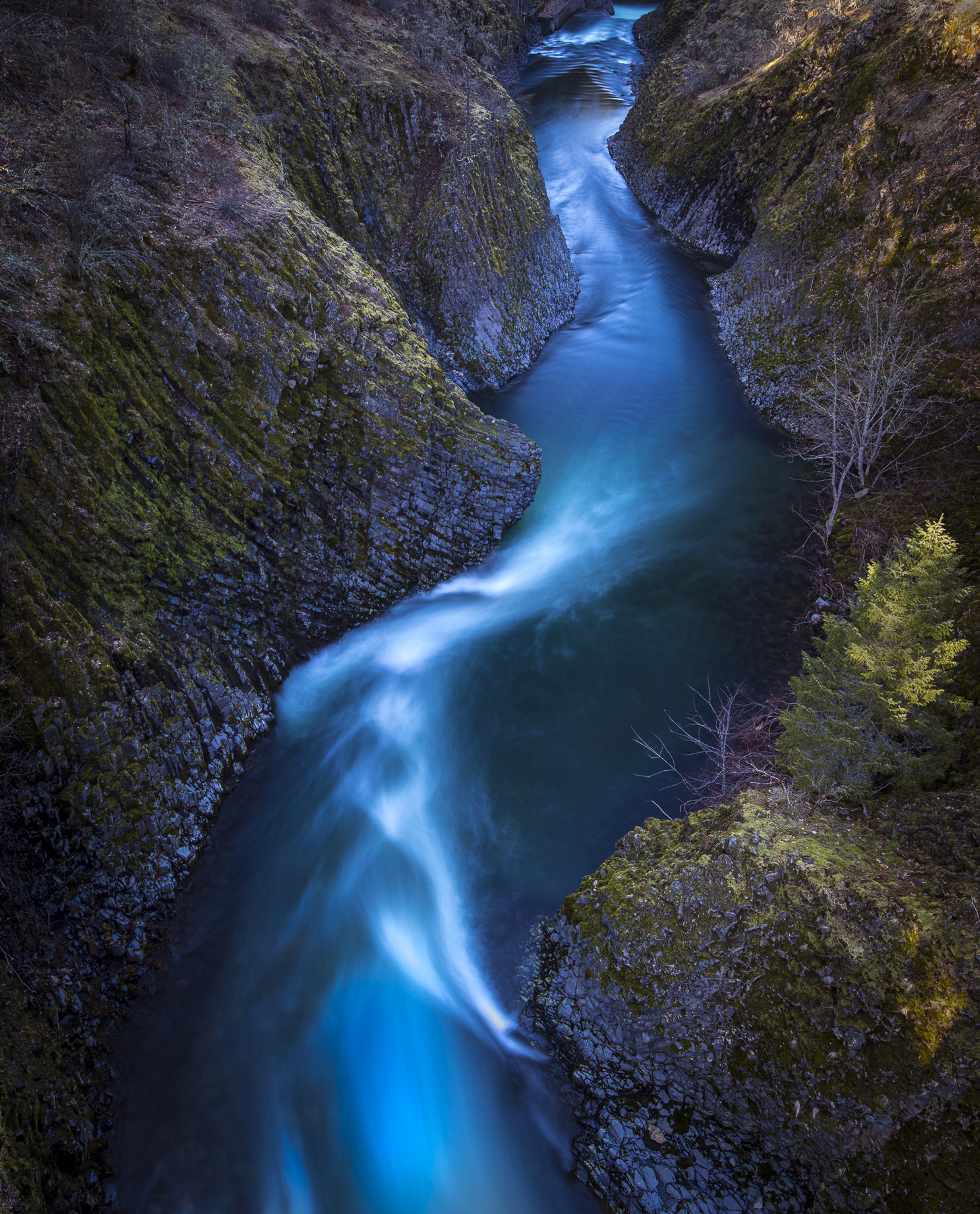 Pentax 645Z sample photo. Dead point creek photography