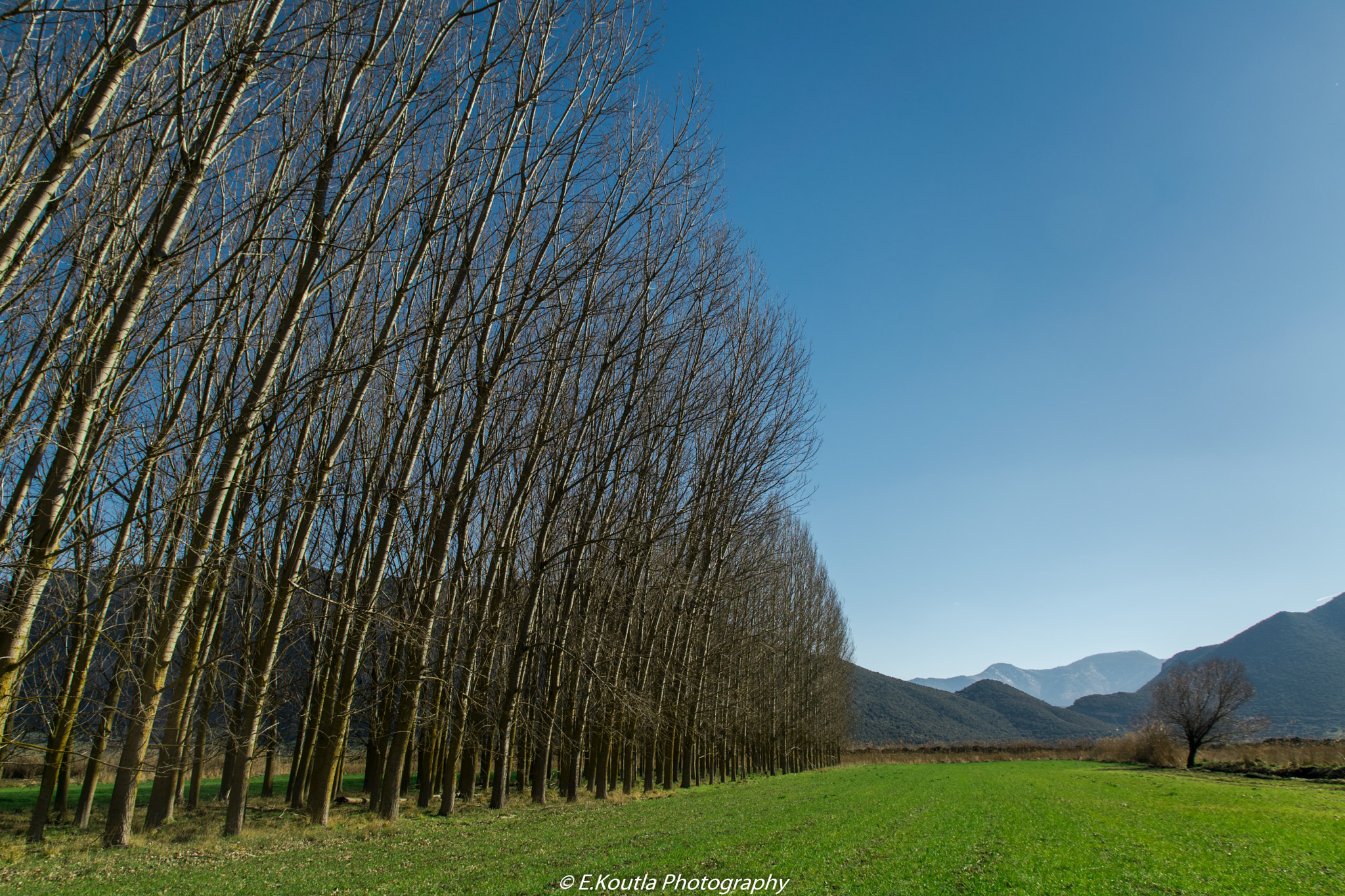 Sigma 17-70mm F2.8-4 DC Macro OS HSM | C sample photo. Going... photography