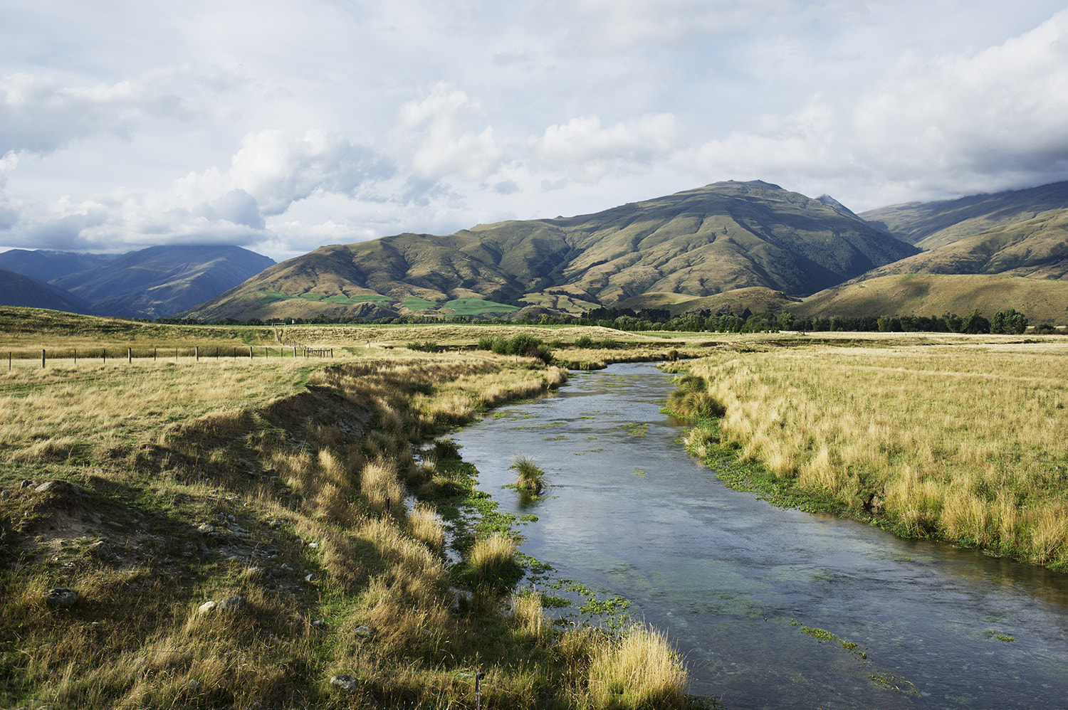 Nikon D3S + Nikon AF Nikkor 35mm F2D sample photo. Spring creek photography