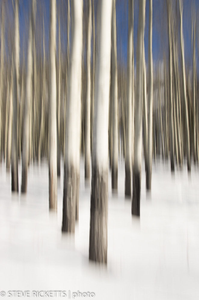 Samsung/Schneider D-XENON 18-55mm F3.5-5.6 sample photo. Aspens photography