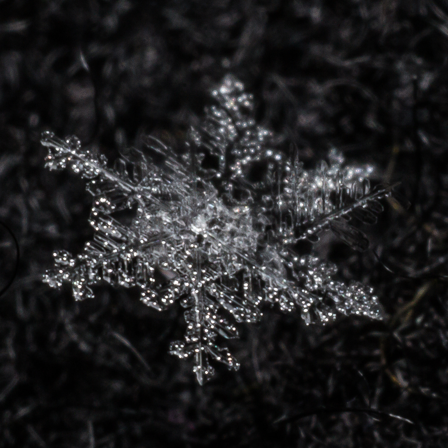 Sigma 70mm F2.8 EX DG Macro sample photo. Handheld flake #7 photography