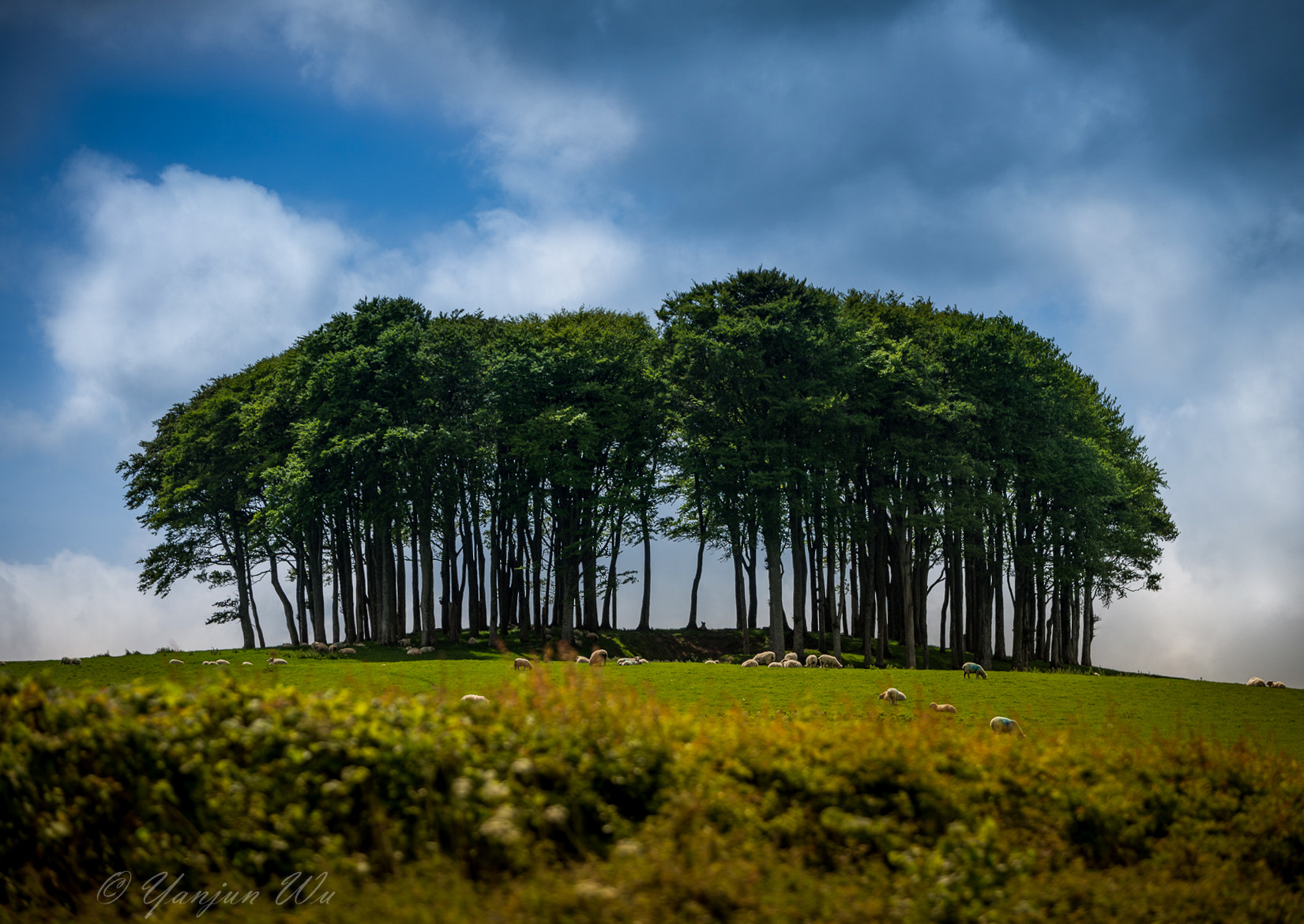 AF-S Zoom-Nikkor 80-200mm f/2.8D IF-ED sample photo. Shire impression photography