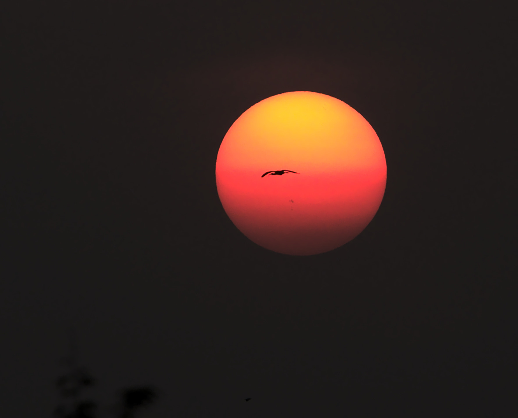 Canon EF 70-200mm F4L USM sample photo. Home at sundown photography