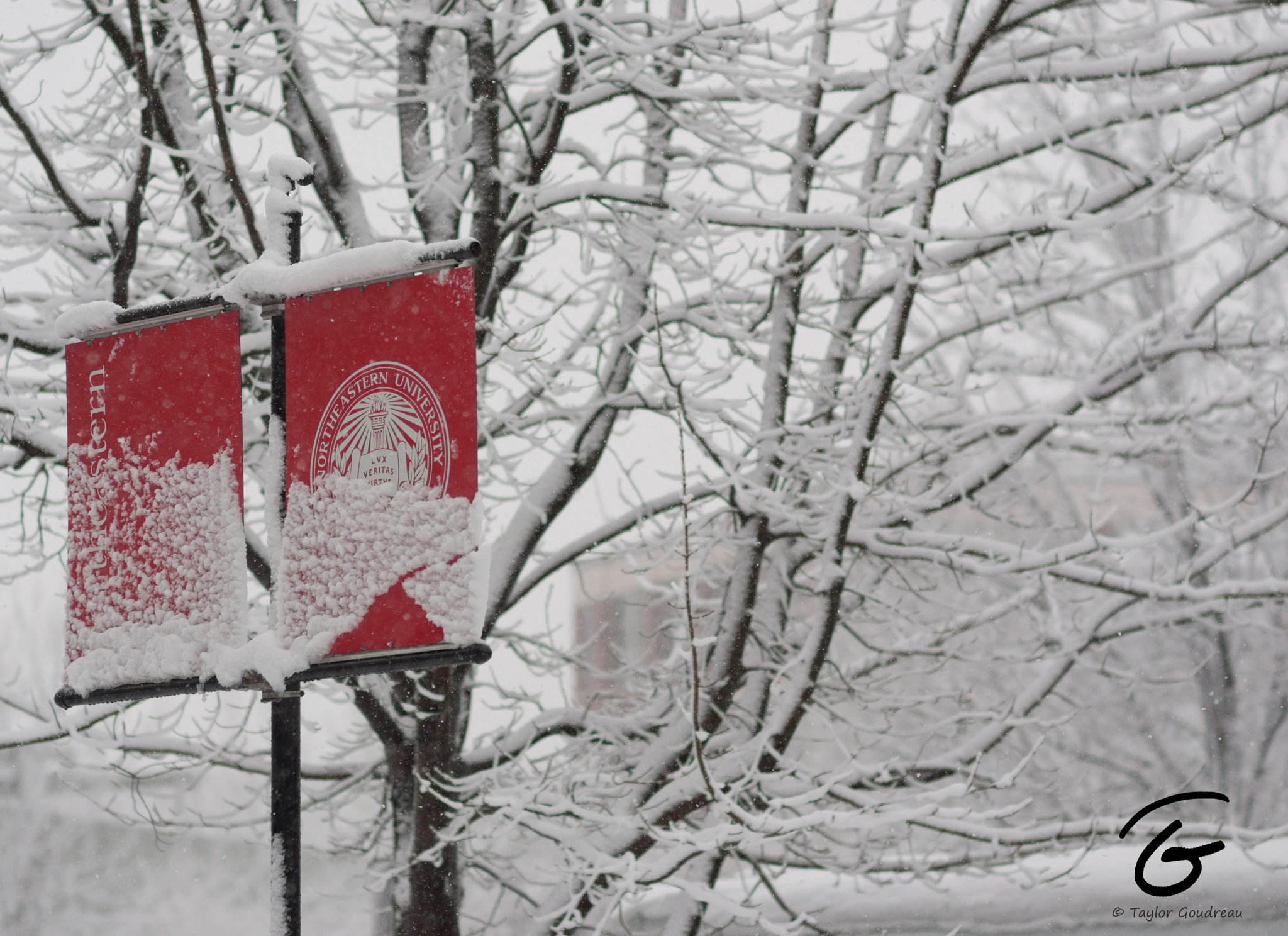 Nikon D90 + Sigma 85mm F1.4 EX DG HSM sample photo. Northeastern snow photography