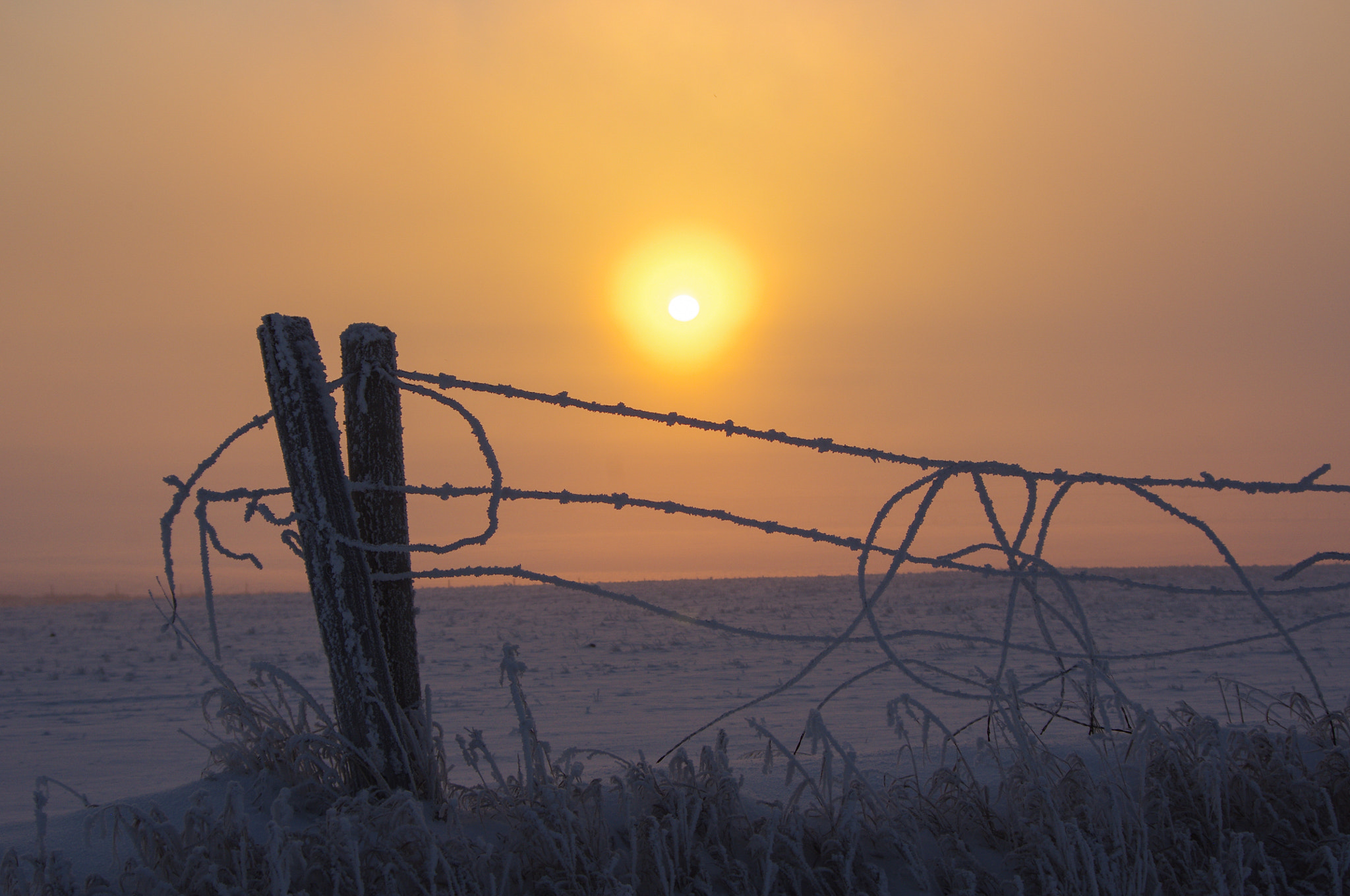 smc PENTAX-DA L 50-200mm F4-5.6 ED sample photo. Cold photography