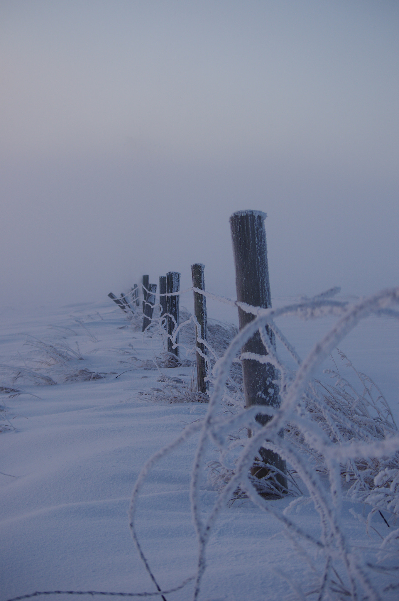 Pentax K-r + smc PENTAX-DA L 50-200mm F4-5.6 ED sample photo. Cold photography