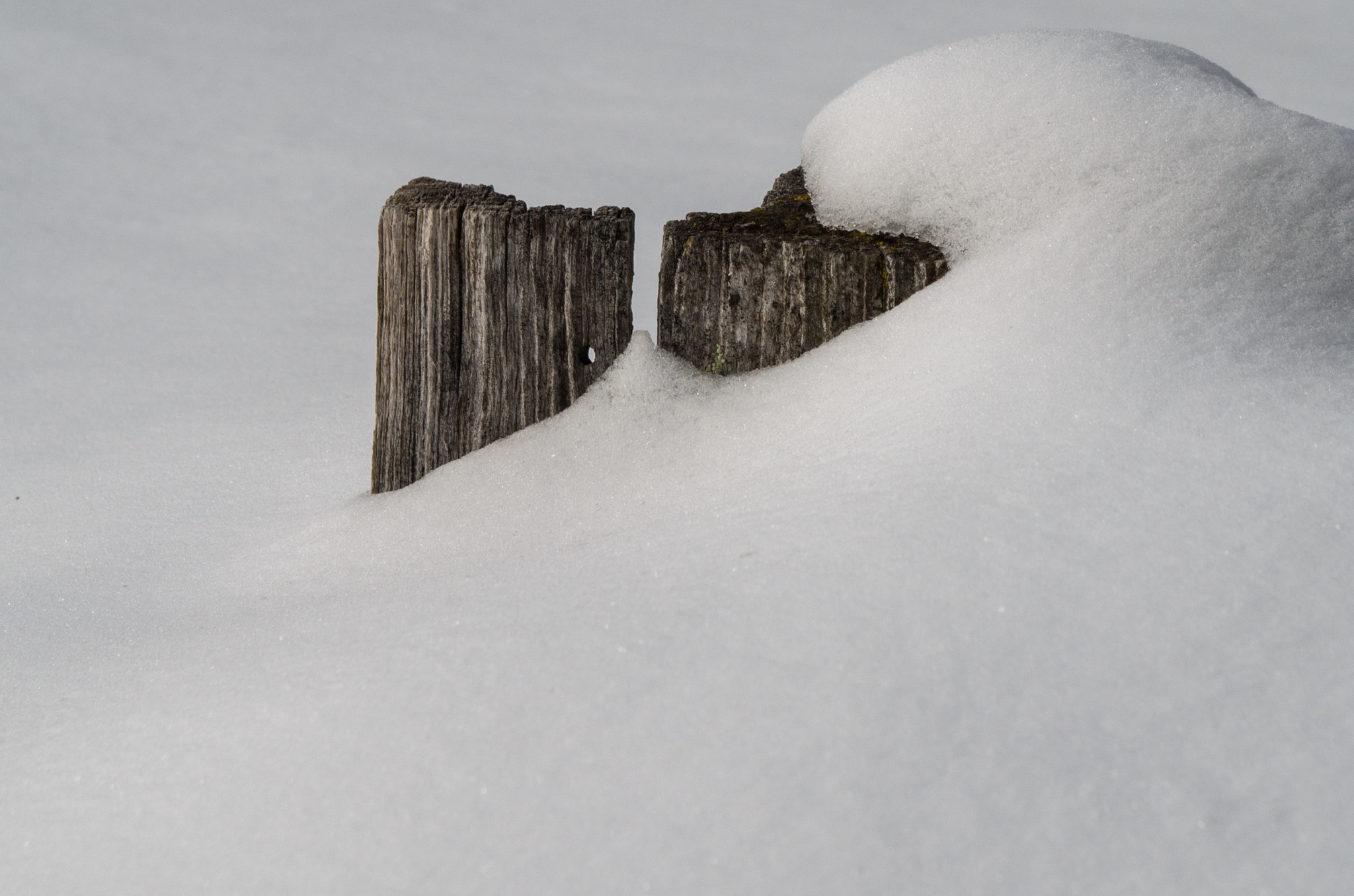Pentax smc DA 18-55mm F3.5-5.6 AL sample photo. Chinooklake photography