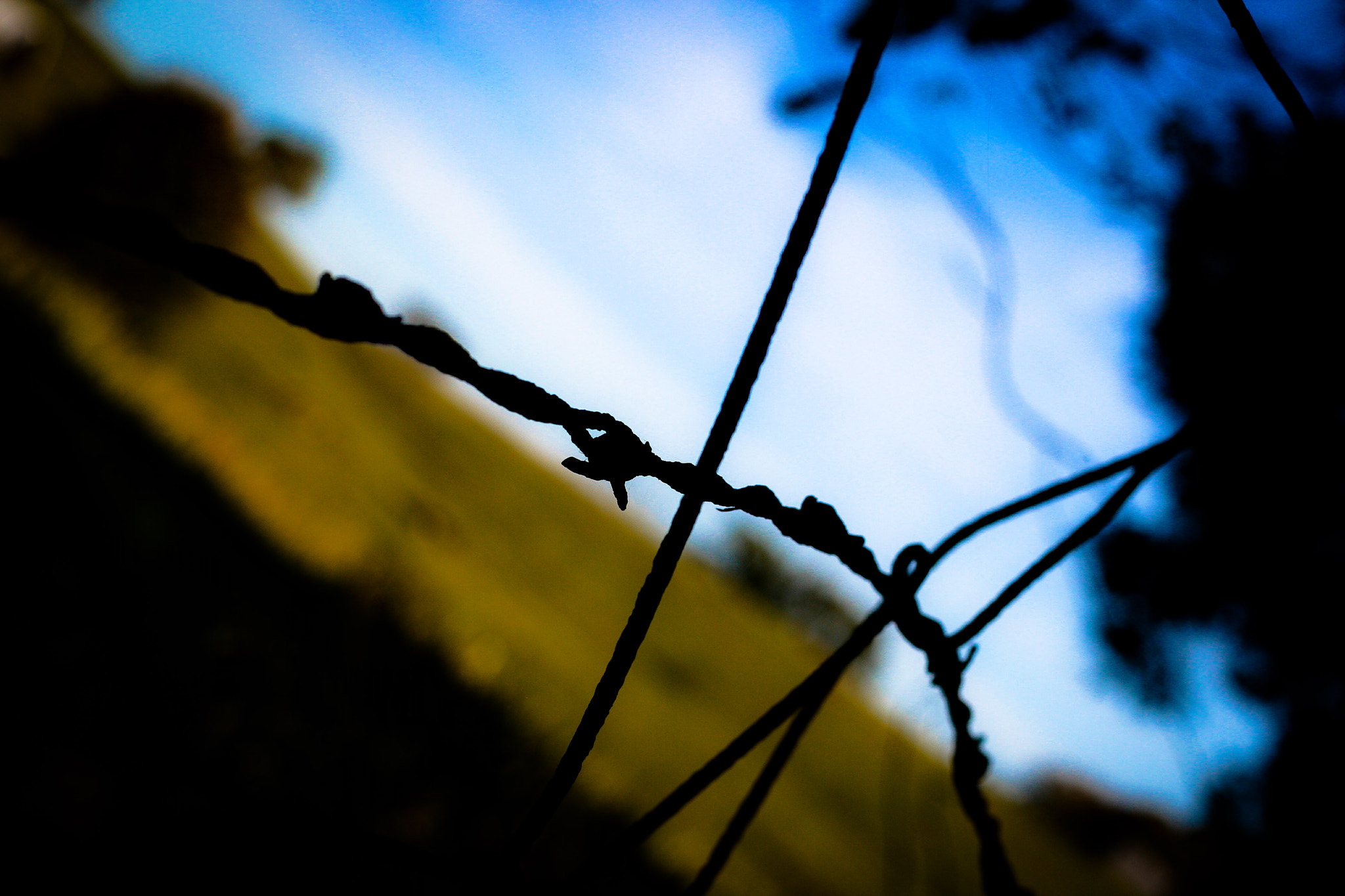 Canon EOS 400D (EOS Digital Rebel XTi / EOS Kiss Digital X) sample photo. Mending fences photography