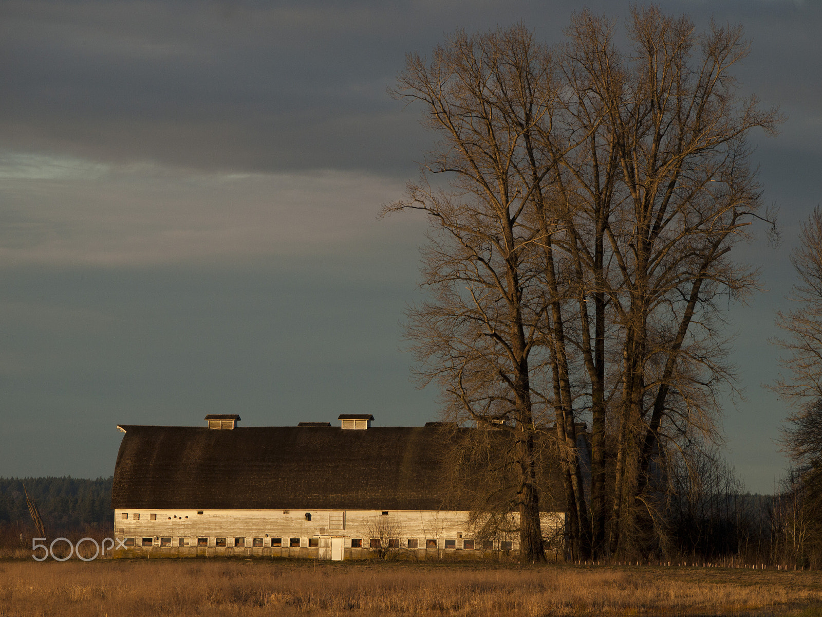 Olympus PEN E-P1 sample photo. Old barns photography