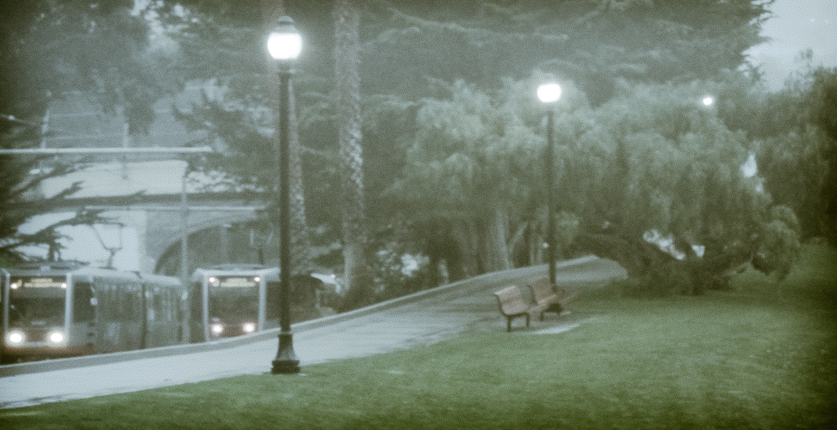 Panasonic Lumix G Vario 45-200mm F4-5.6 OIS sample photo. Misty morning in dolores park photography