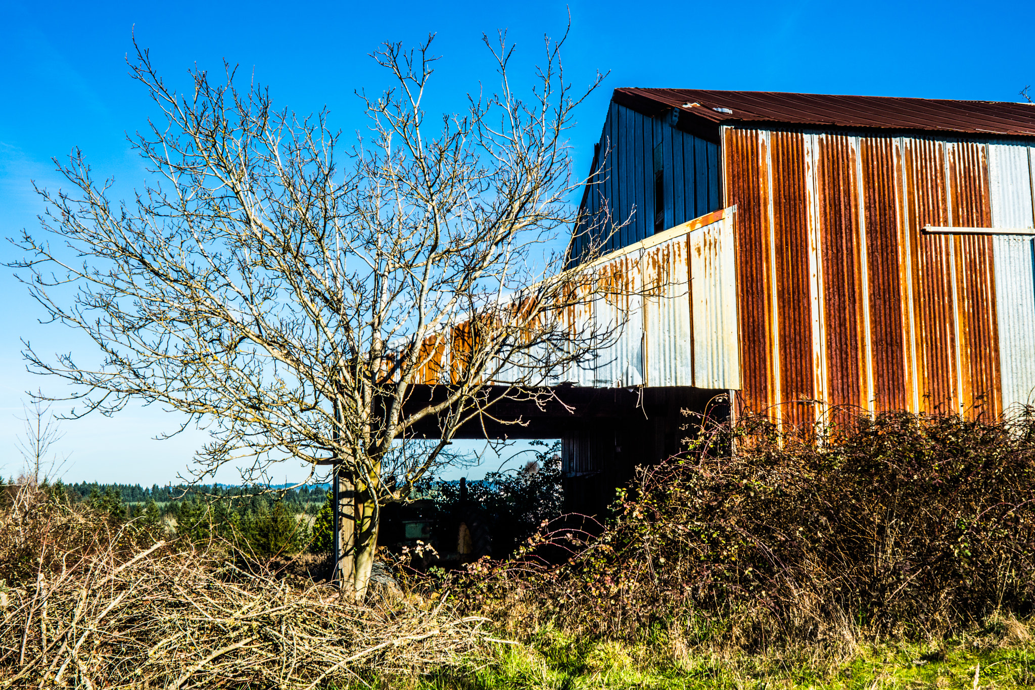 Sony 28mm F2.8 sample photo. Barn tree photography