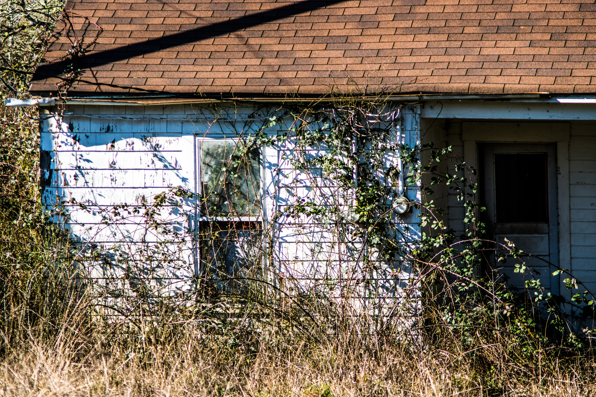 Sony ILCA-77M2 + Minolta AF 70-210mm F4 Macro sample photo. Abandoned house photography