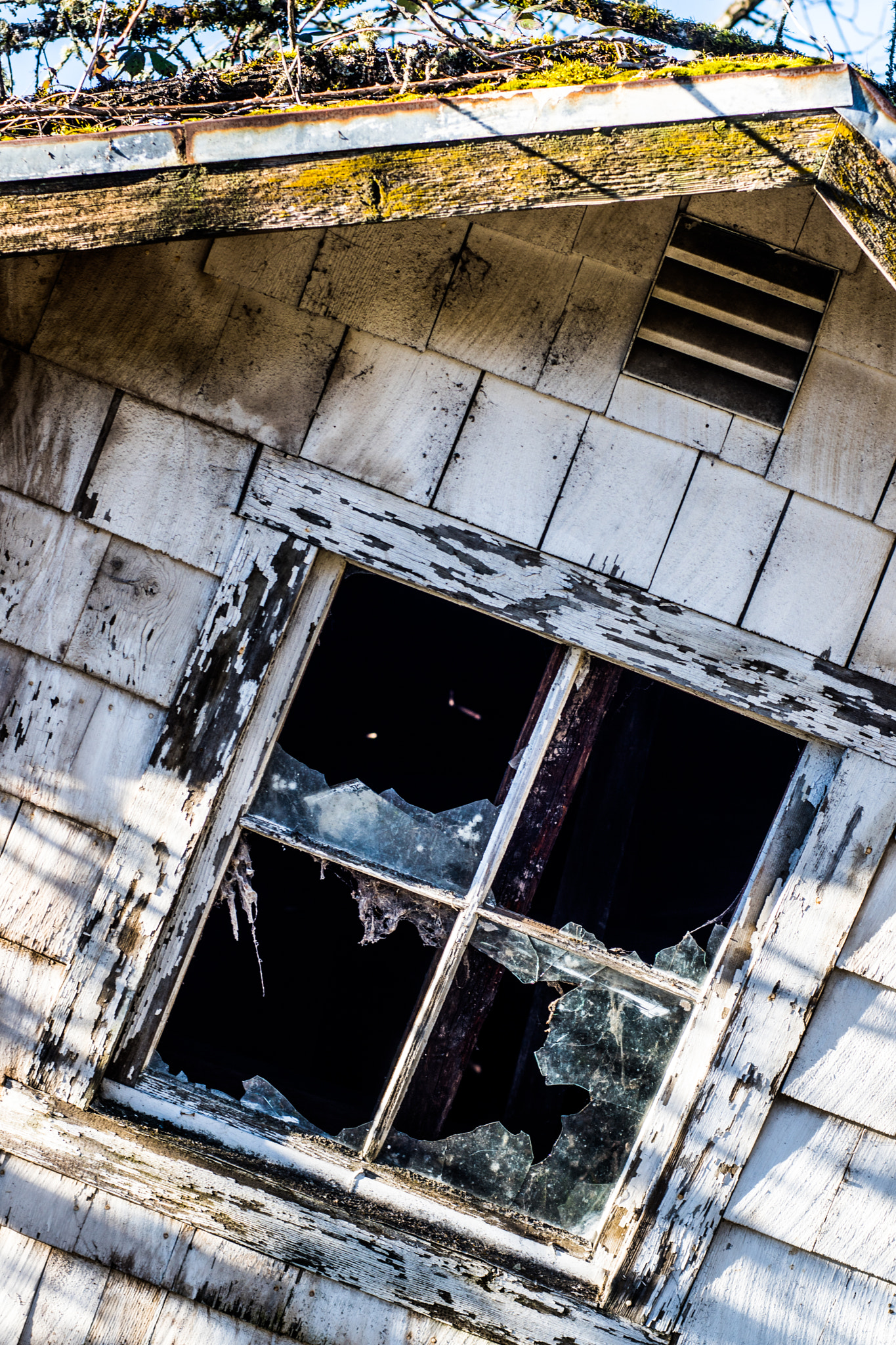 Sony ILCA-77M2 + Minolta AF 50mm F1.4 [New] sample photo. Fallen house photography