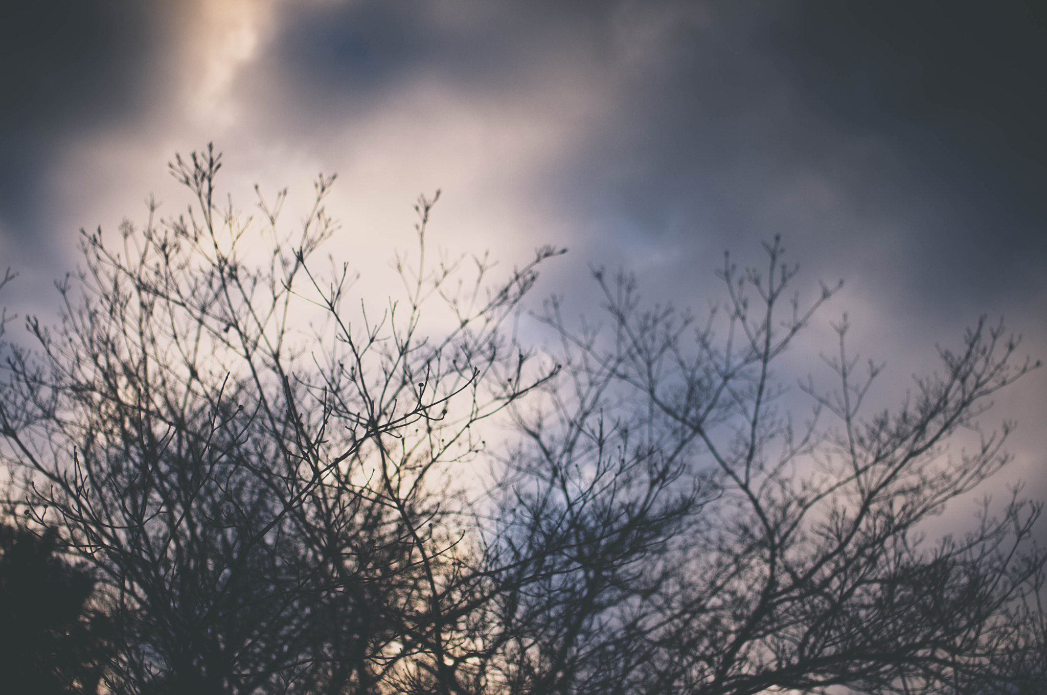 Pentax K-r + Sigma sample photo. Winter skies photography