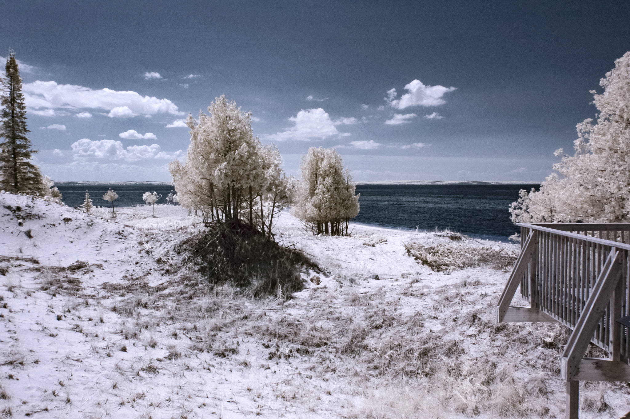 Nikon D70 sample photo. Thorne swift beach ir photography