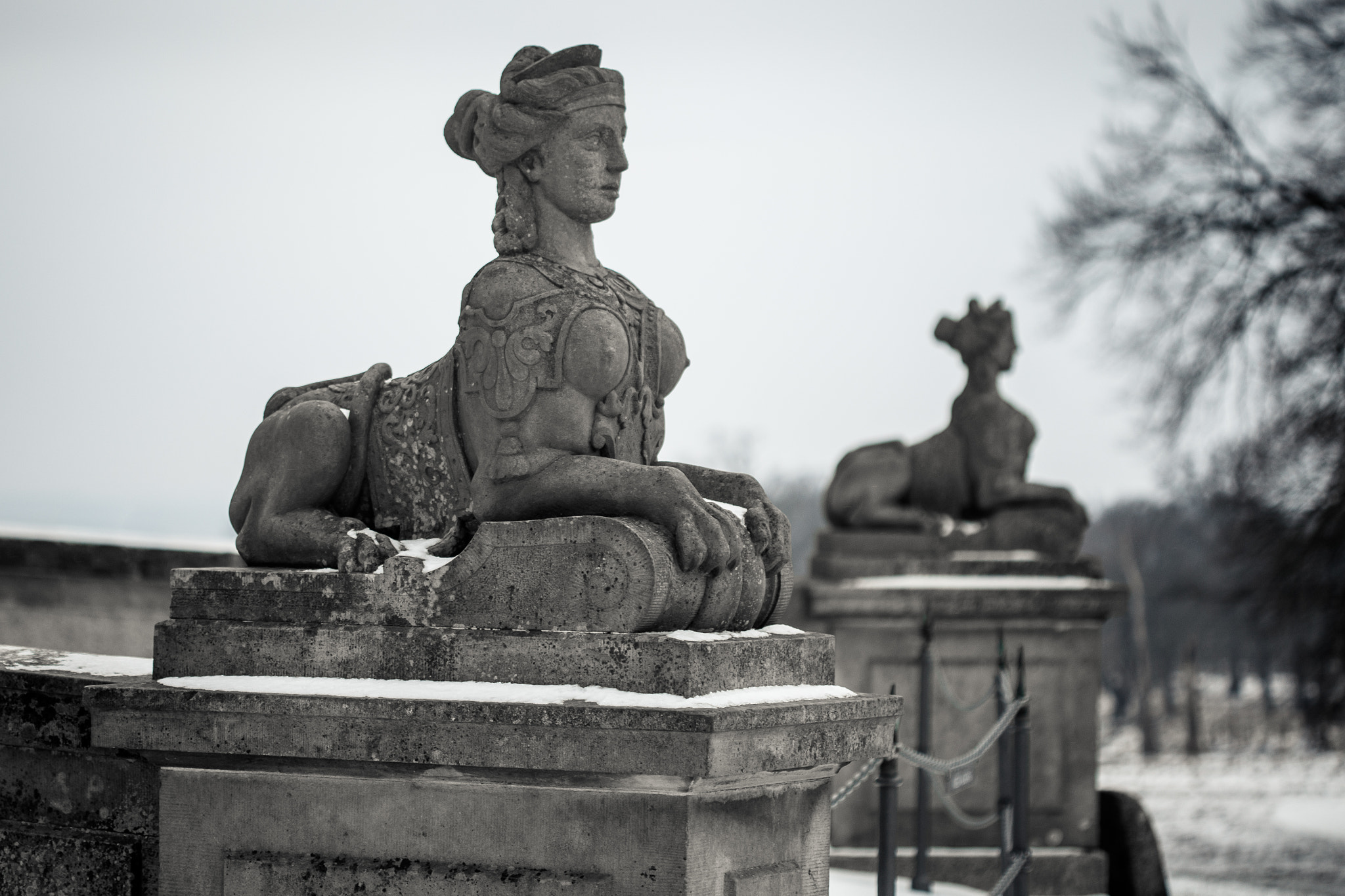 Canon EOS 6D + Canon EF 100mm F2.8 Macro USM sample photo. Sphinxes photography
