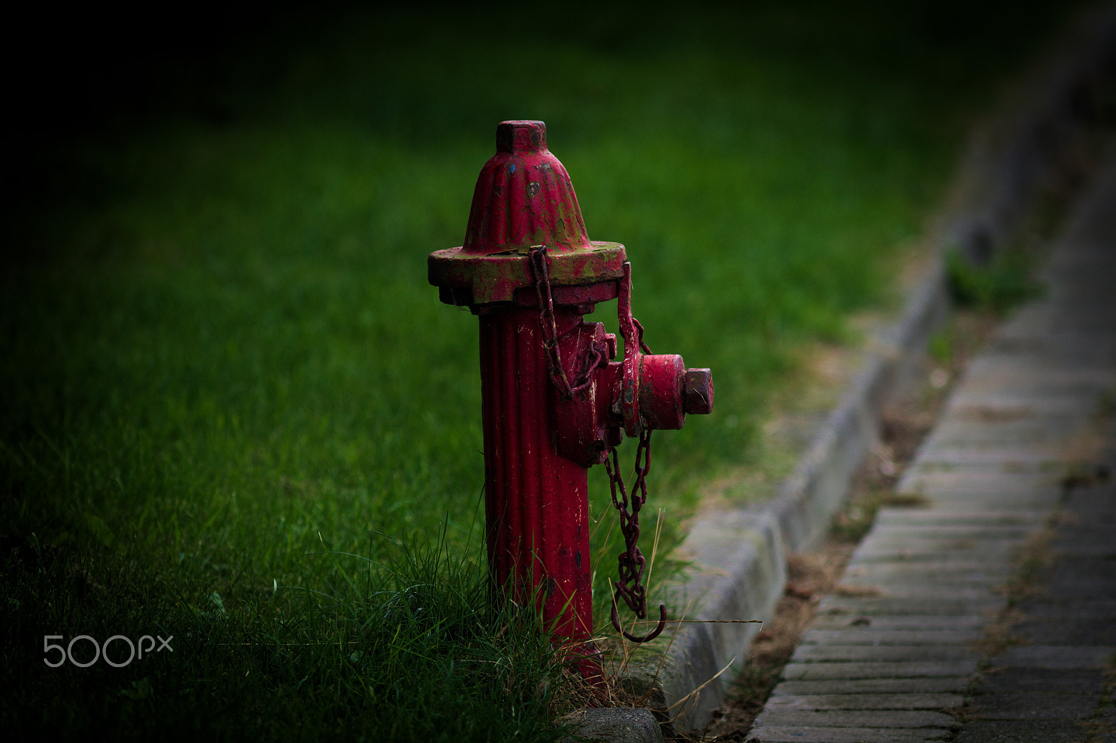 Canon EF 300mm F4L IS USM sample photo. Waitingforfire photography