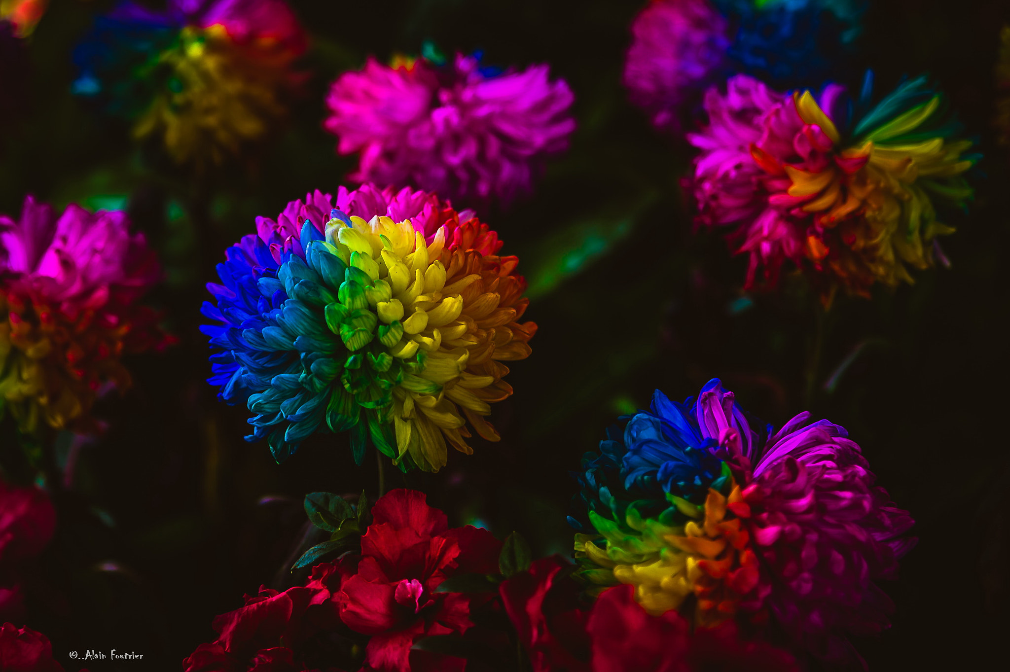 Nikon Df sample photo. Vertigo of colors photography