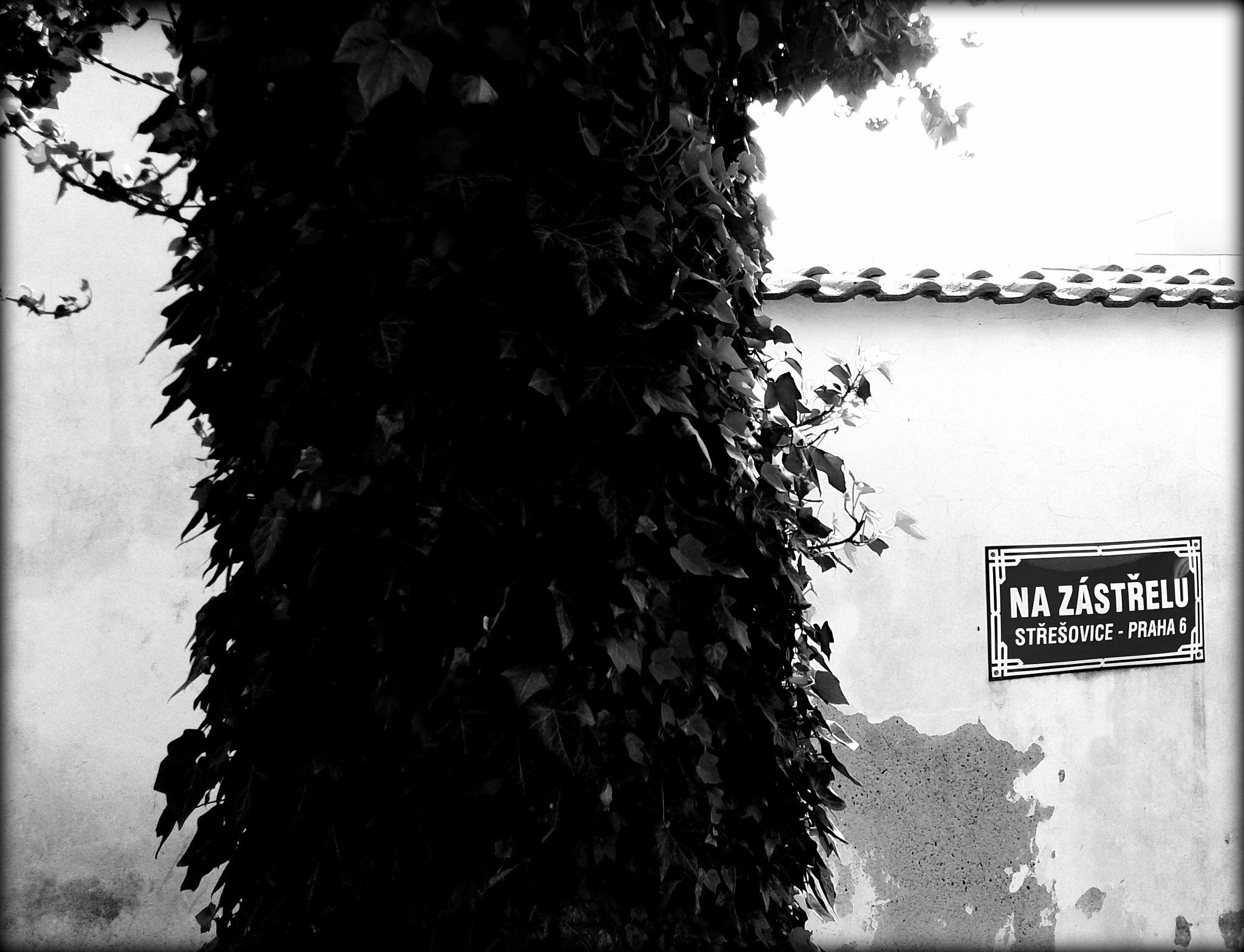 Samsung GT-S5610 sample photo. Black and white photography