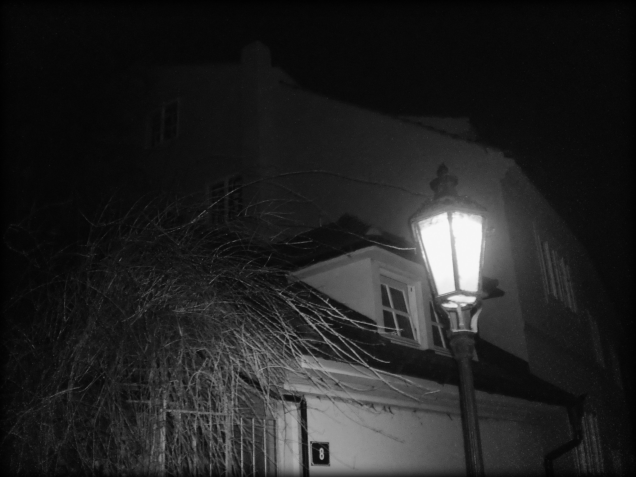 Olympus T105,T100,X36 sample photo. Black and white photography