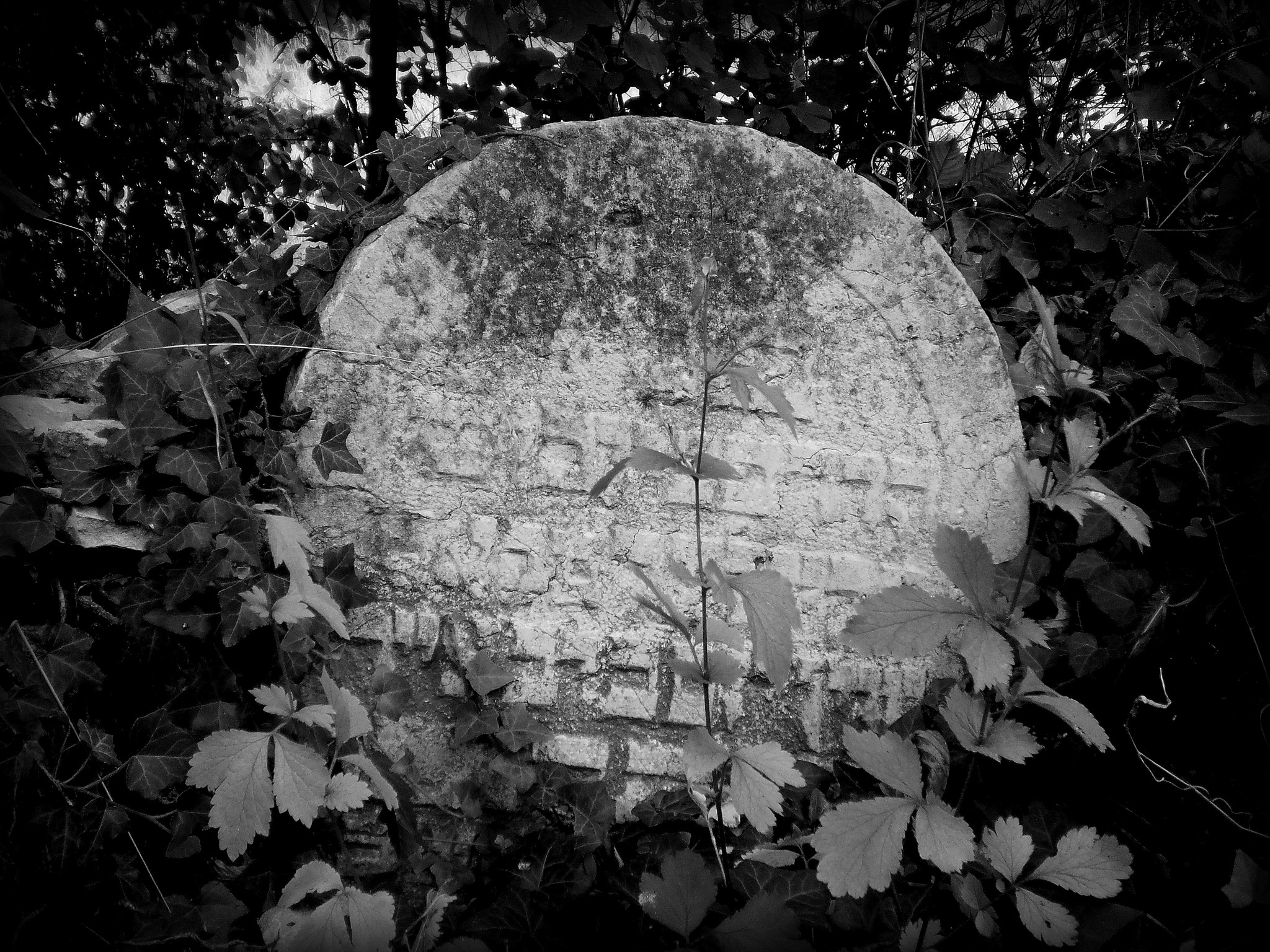 Olympus T105,T100,X36 sample photo. Black and white photography