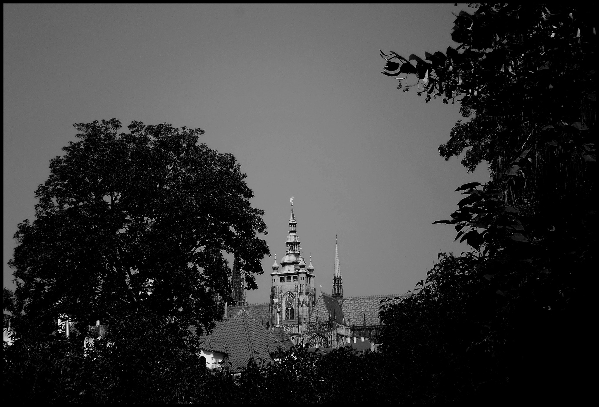 Olympus T105,T100,X36 sample photo. Black and white photography