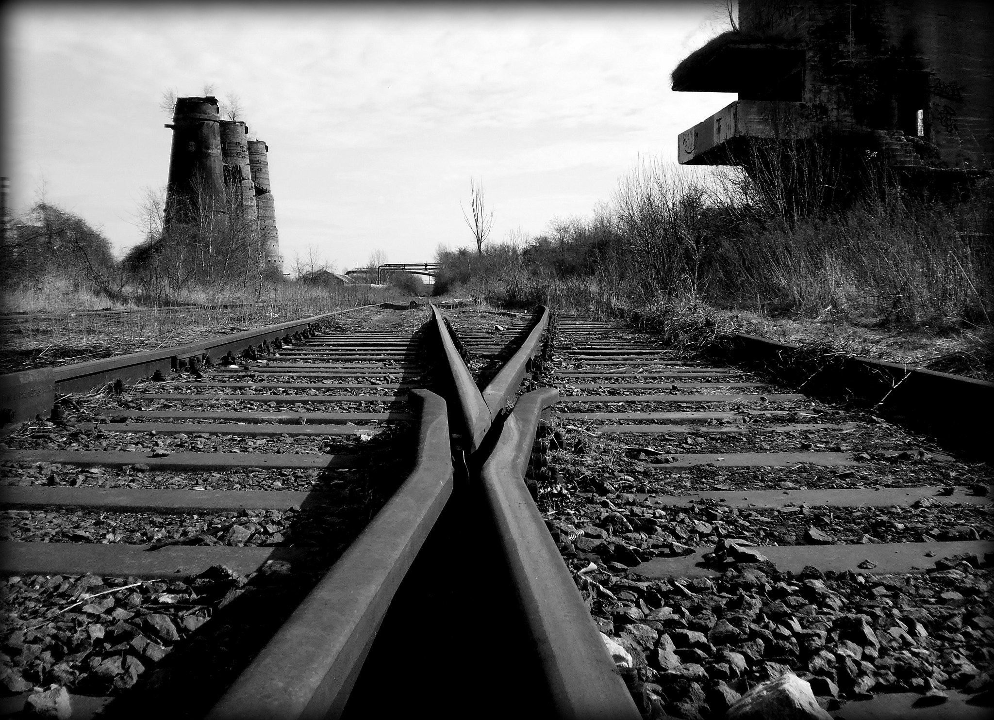 Olympus T105,T100,X36 sample photo. Black and white photography