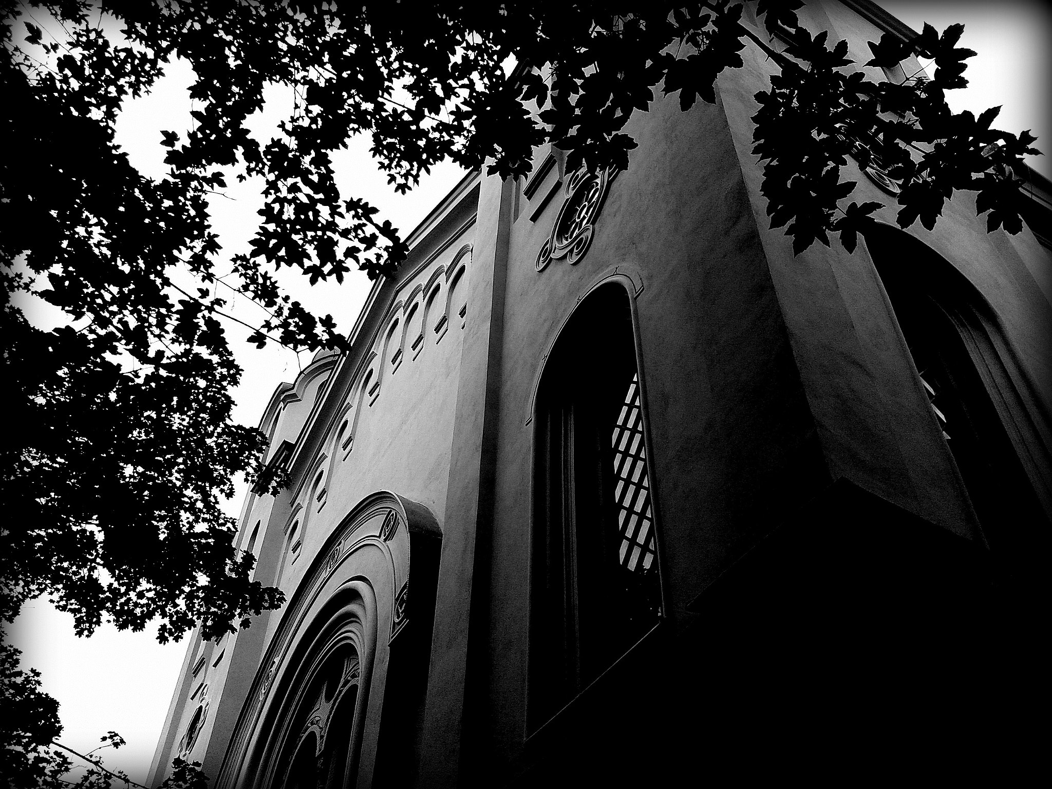 Samsung GT-S5610 sample photo. Black and white photography
